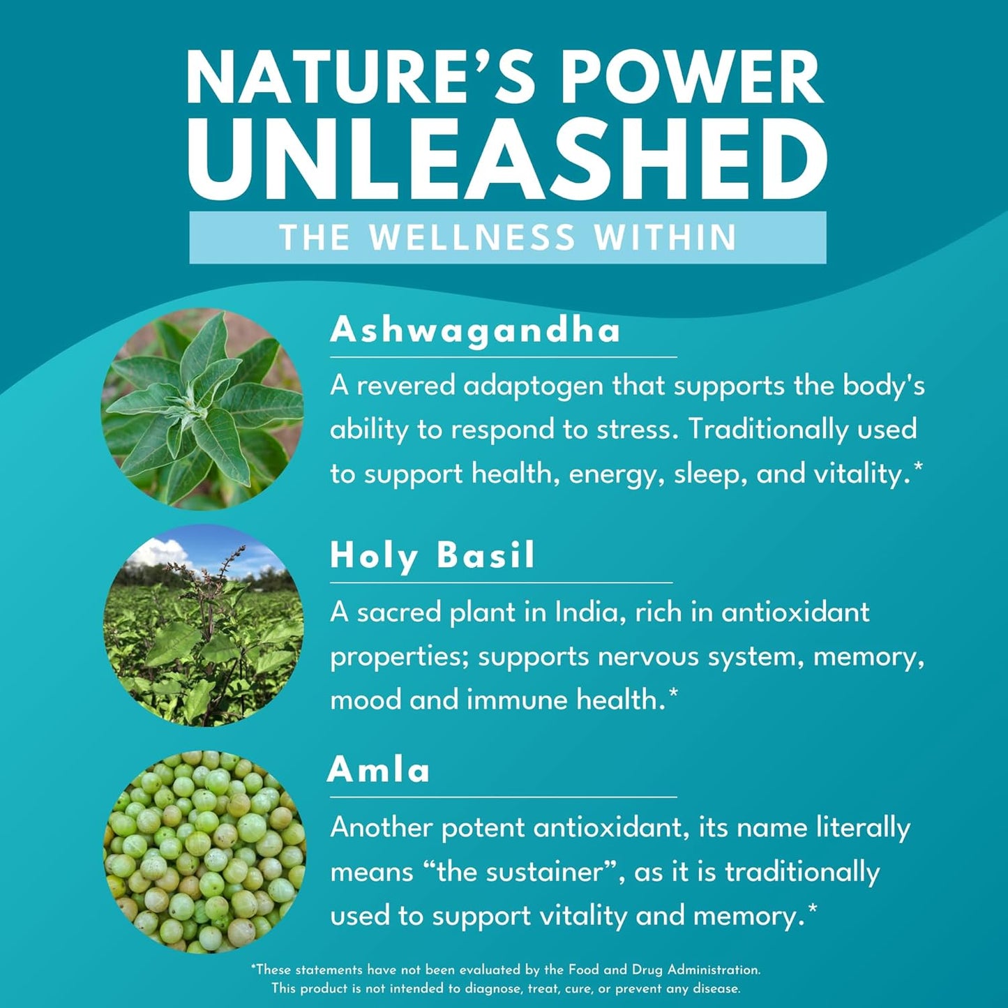 ashwagandha-plus-stress-mood-memory-energy-support---triple-adaptogenic-formula-with-amla-holy-basil---30-vegan-capsules-5
