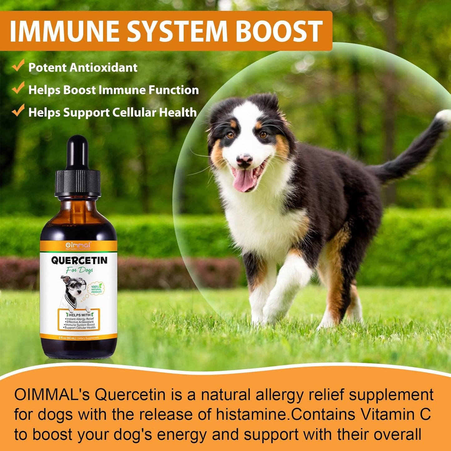 quercetin-supplement-with-vitamin-c-for-dogs-allergy-relief-immune-support-anti-itch-formula-for-dogs-6