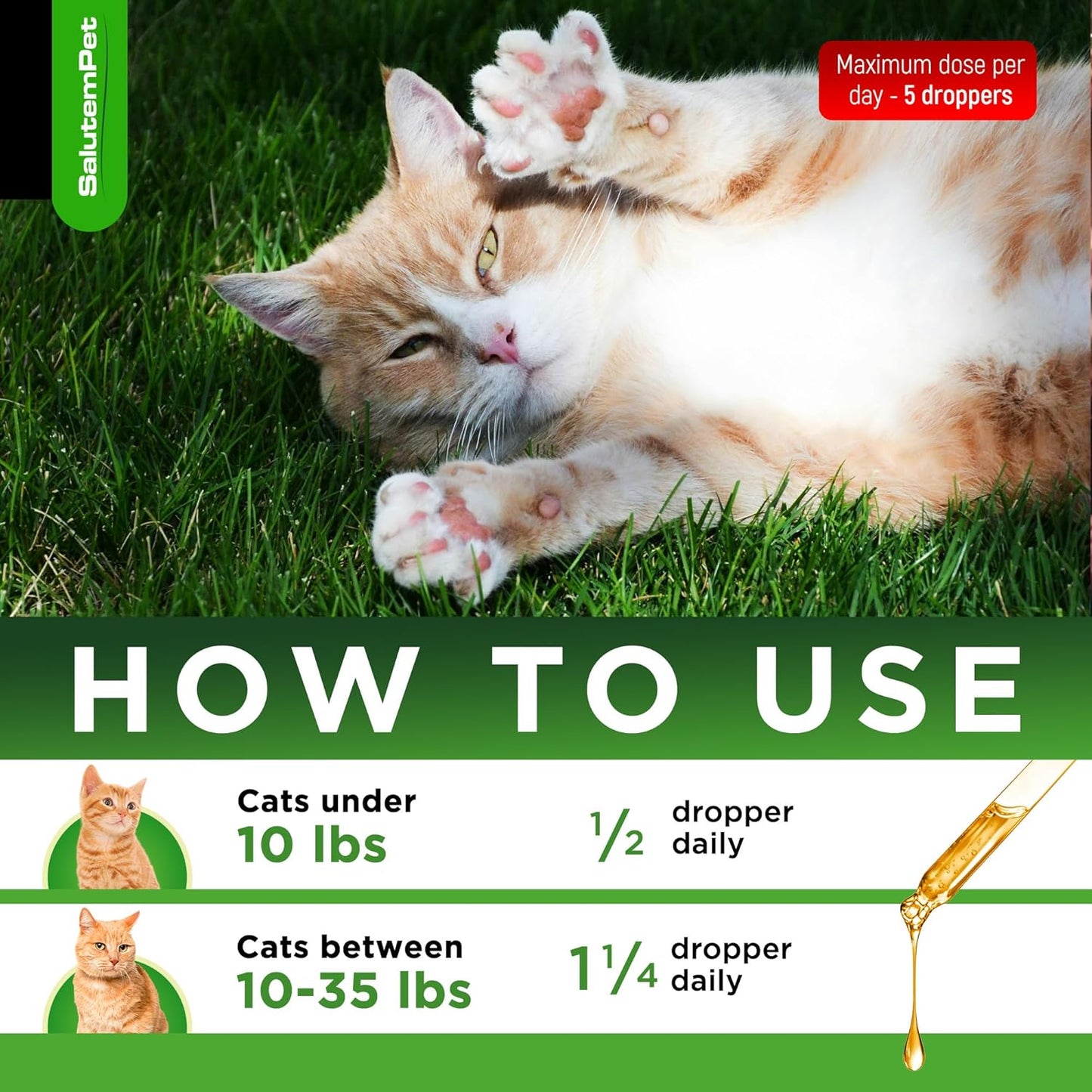 natural-chicken-flavor-salutempet-antibiotics-for-cats-and-kittens---cat-antibiotic-for-allergies-utis-digestive-health---2-oz-4