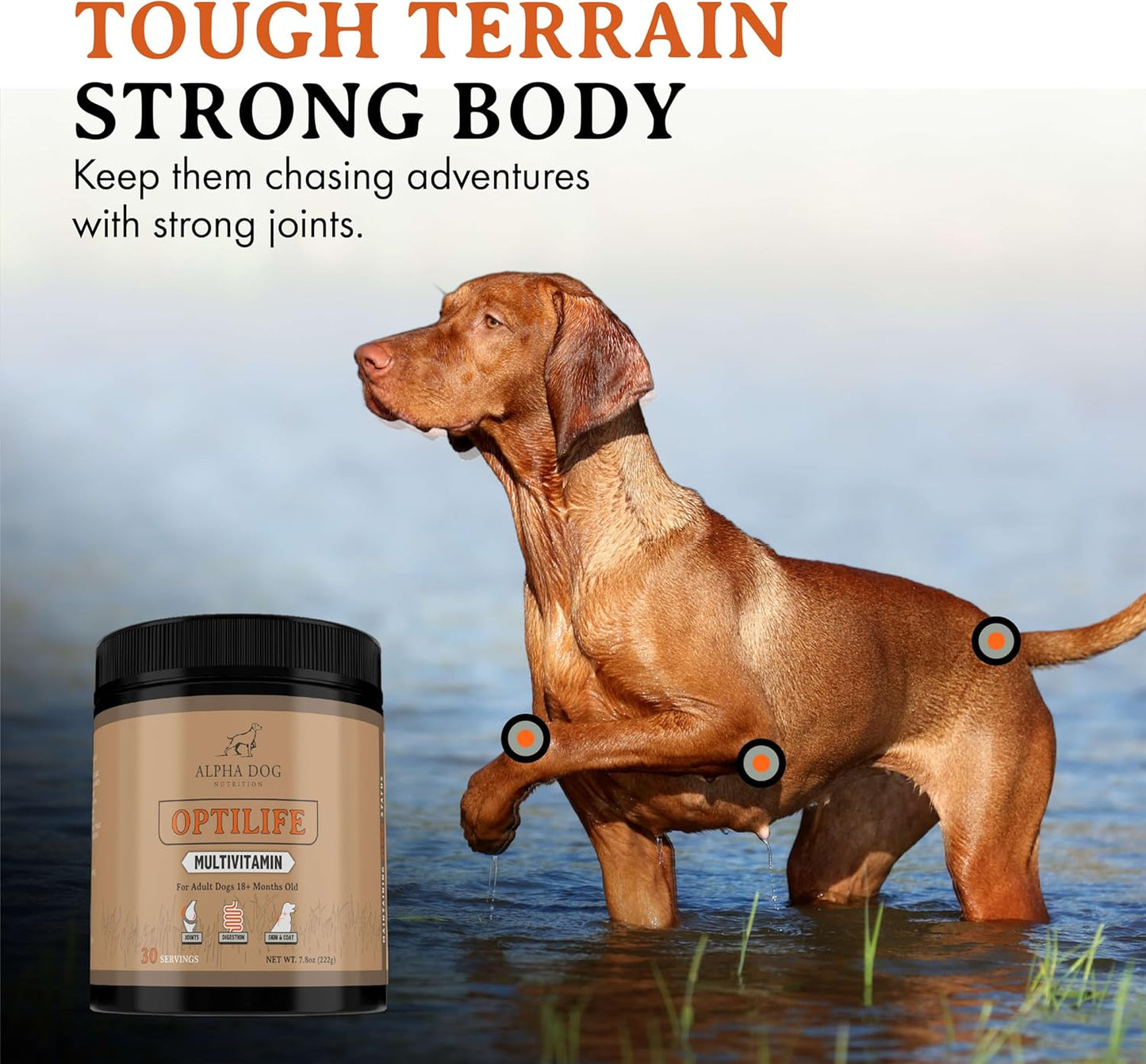 alpha-dog-nutrition-optilife-dog-multivitamin-powder---60-servings---adult-dog-supplement-with-probiotics-allergy-joint-skin-coat-support---dog-vitamins-and-supplements-3