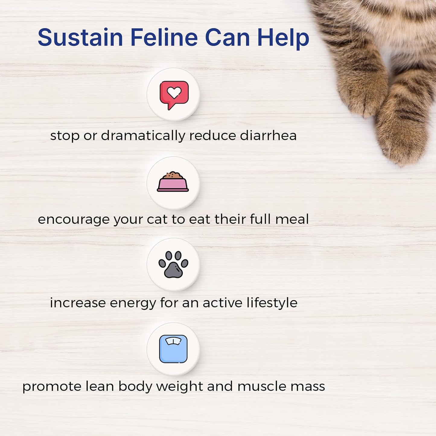 nutritious-emeraid-sustain-cat-recovery-food---400g-size-for-felines-in-need-of-support-5