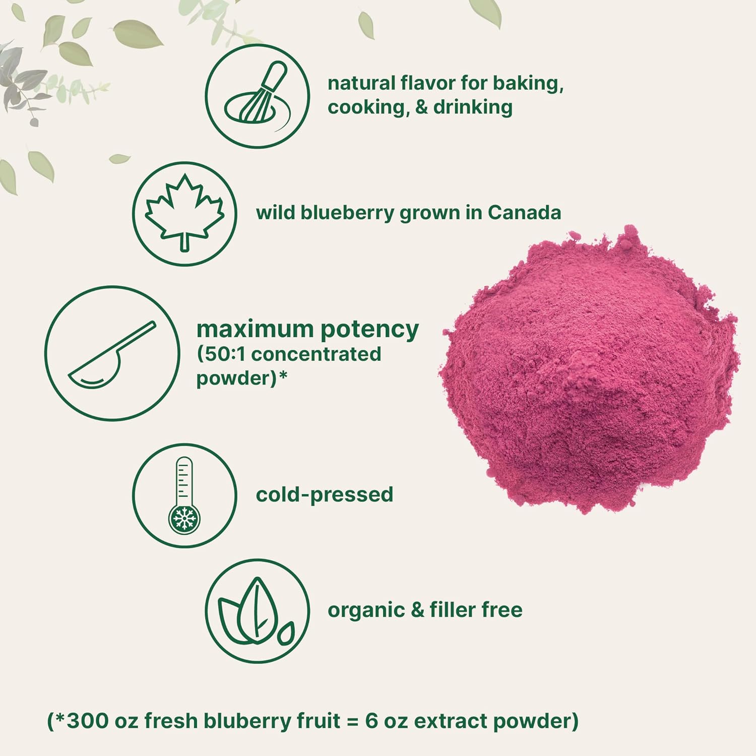 Organic Blueberry Extract Powder - 10oz | 100% Natural Fruit Powder | Freeze-Dried Wild Blueberries | No Sugar or Additives | Ideal for Drinks, Smoothies, Beverages | Non-GMO & Vegan - Micro Ingredients - Espot.com.au