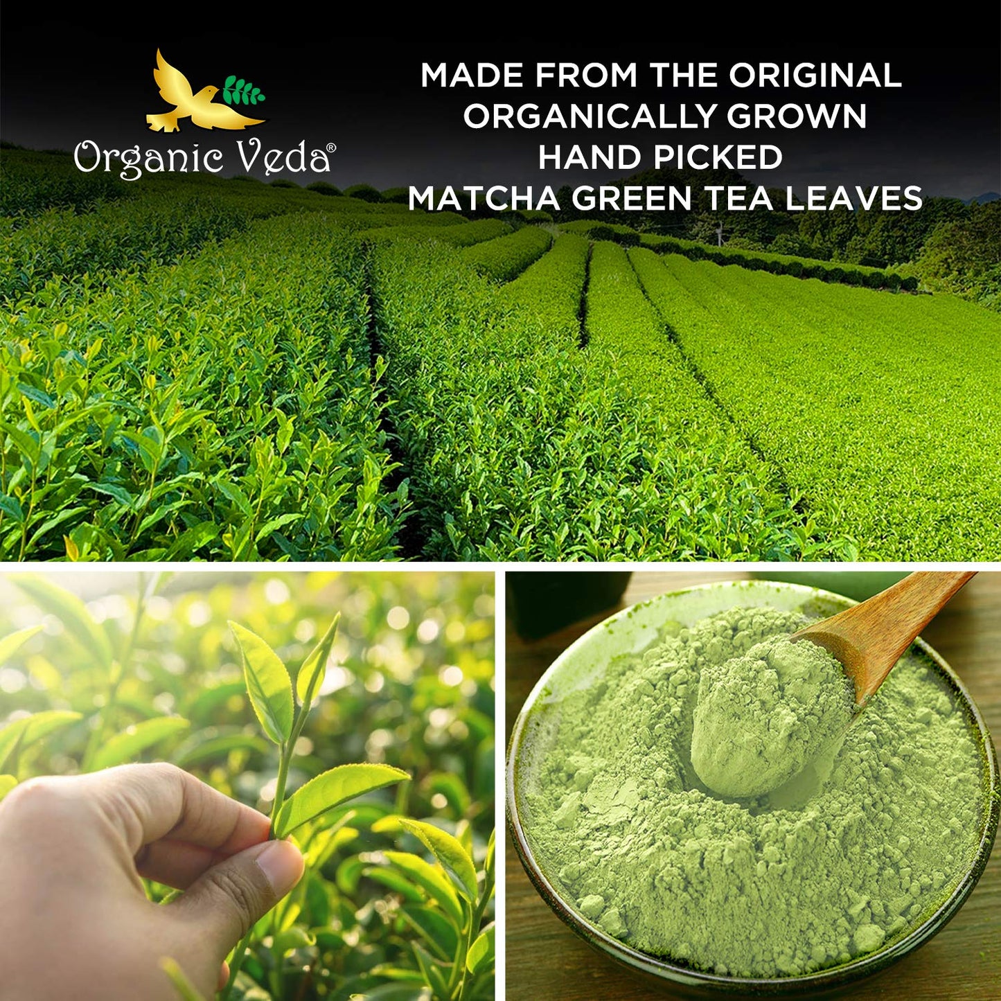 usda-certified-organic-matcha-green-tea-powder---culinary-grade-antioxidant-rich-100-pure-whole-fresh-green-tea-leaves---ideal-for-face-masks-beauty-cooking-baking-lattes-7