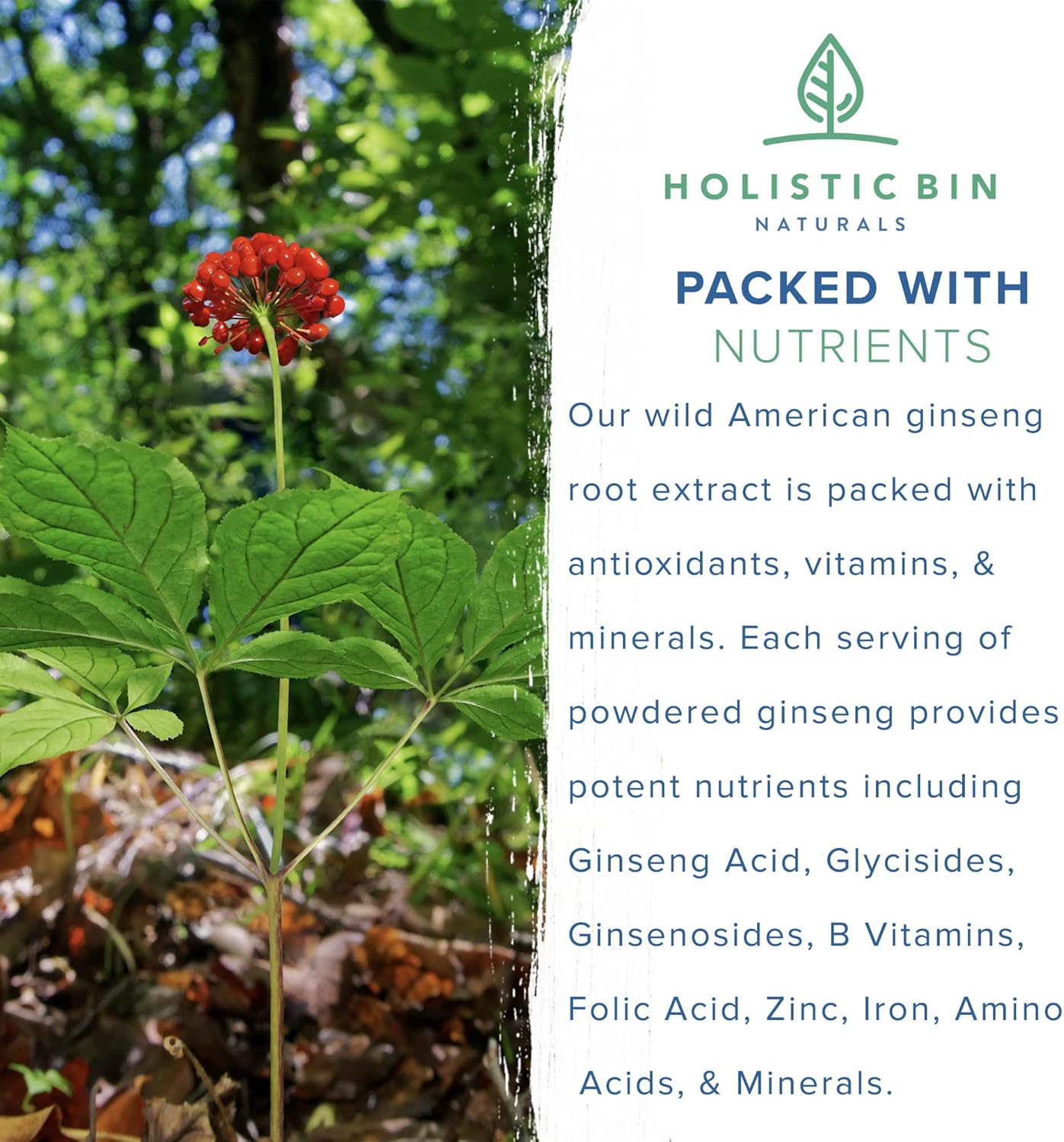 pure-organic-wild-american-ginseng-powder-supplement-20-year-old-roots-from-appalachia-no-fillers-25g-4