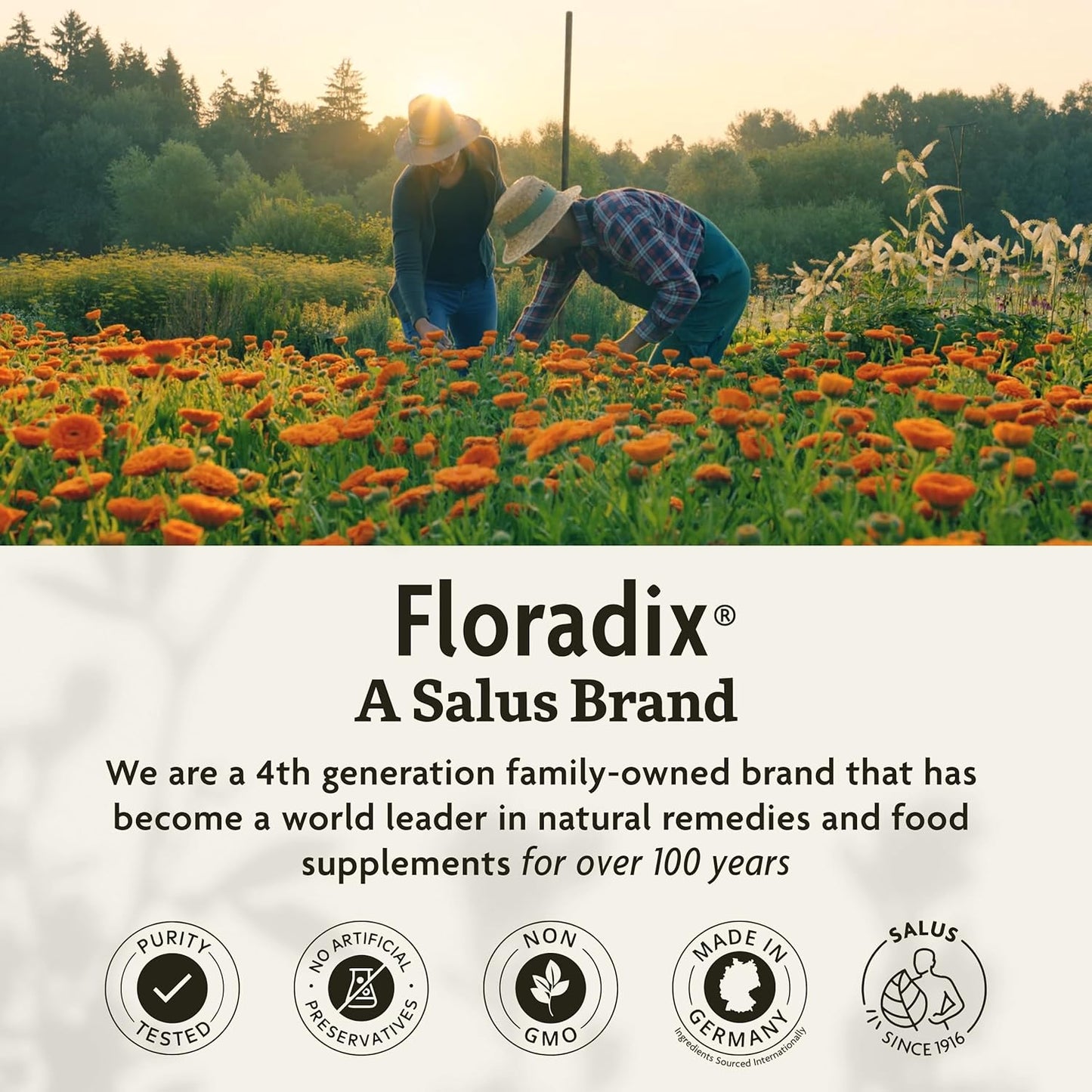 floradix-magnesium-liquid-supplement-for-muscle-and-bone-support---17-fl-oz-vegan-formula-7