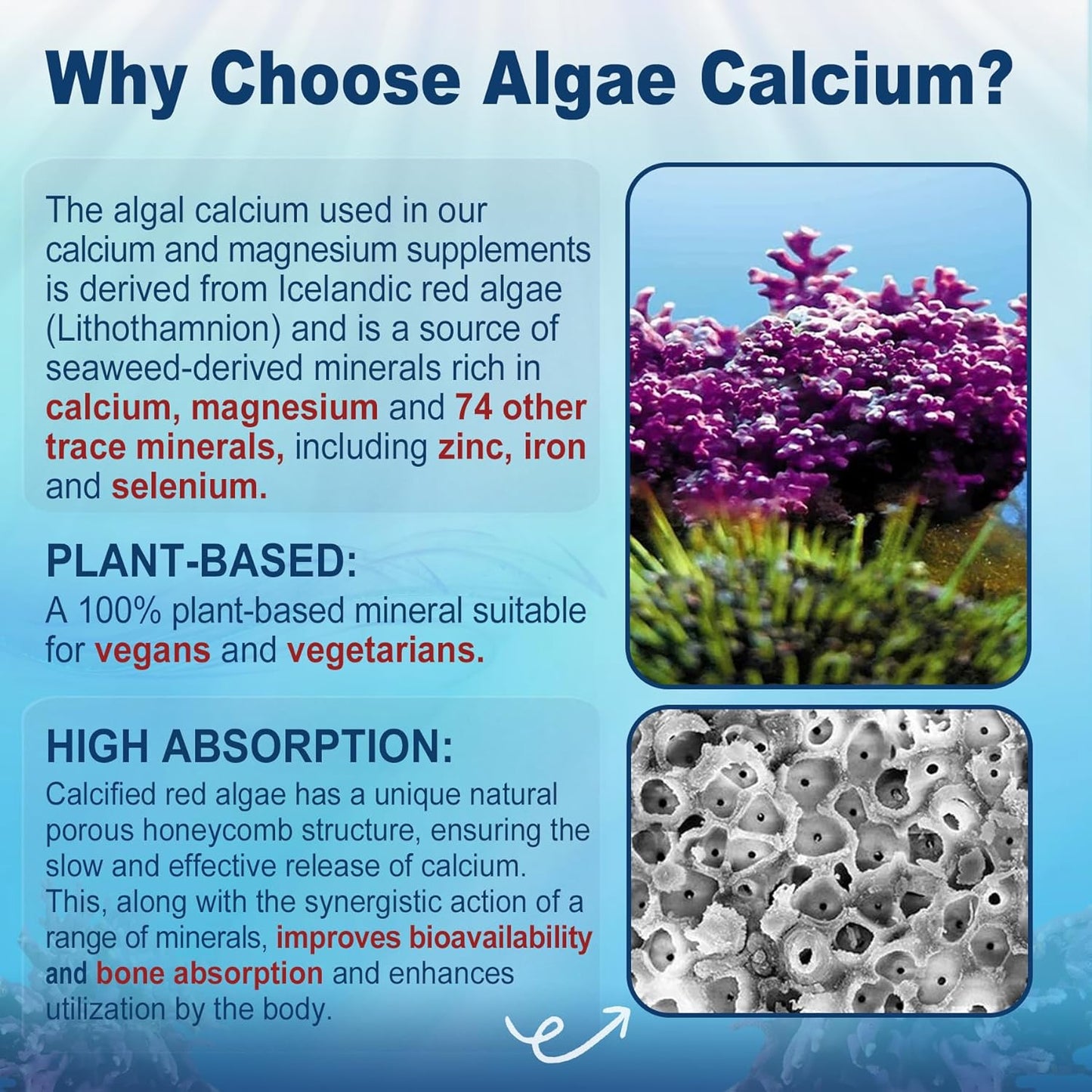 sugar-free-calcium-and-coq10-gummies---nevis-algae-calcium-magnesium-supplement-with-21-ratio-high-absorption-600mg-calcium-and-250mg-coenzyme-q10-3