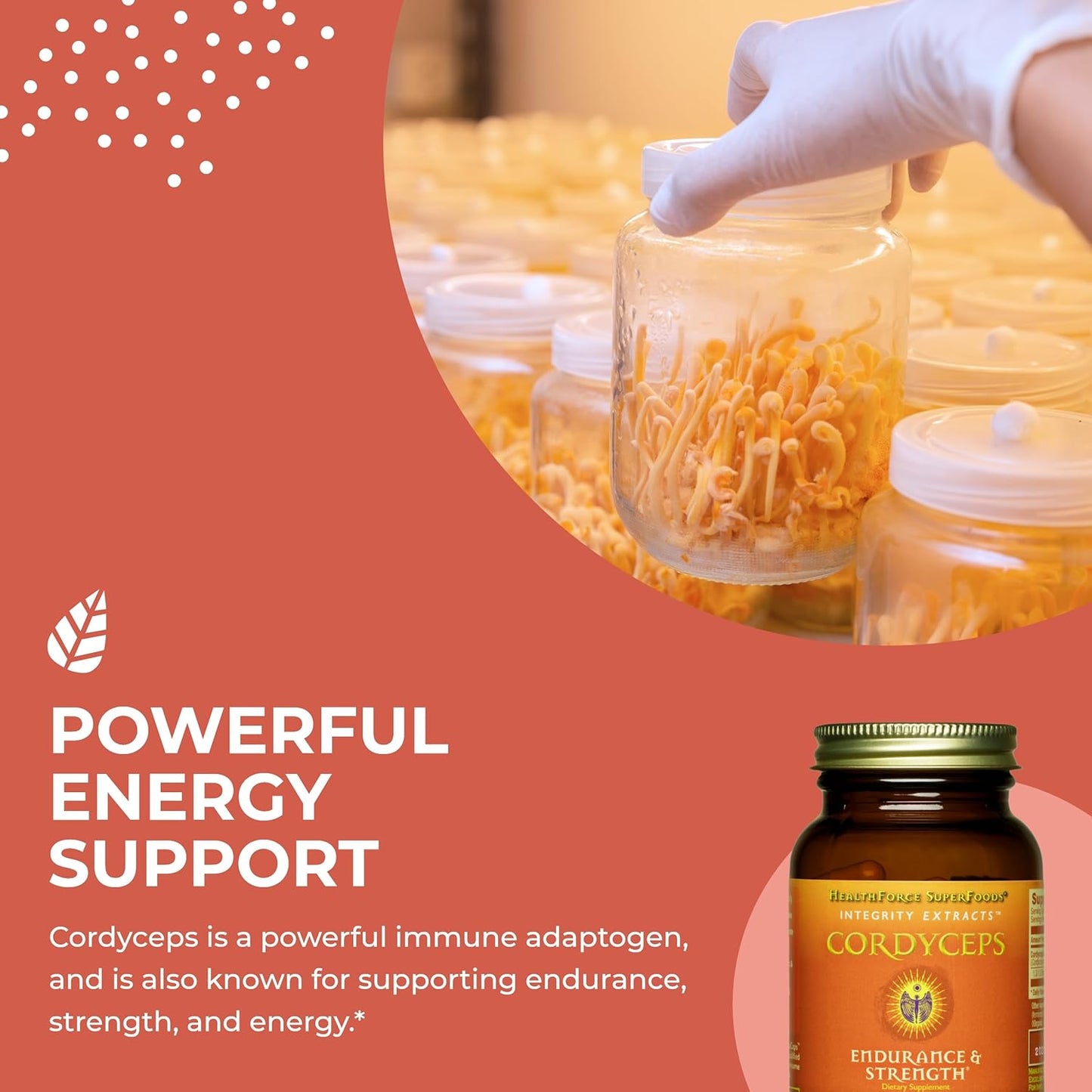 Vegan Cordyceps Extract Capsules - 90 Capsules by HealthForce SuperFoods - Espot.com.au