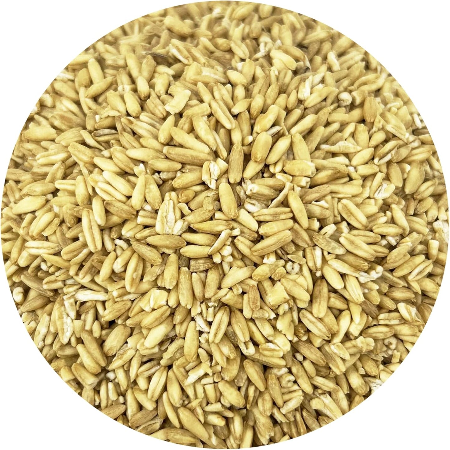 organic-oat-groats-for-birds---fiber-mineral-rich-feed-usda-ccof-certified-2lbs-made-in-usa-2