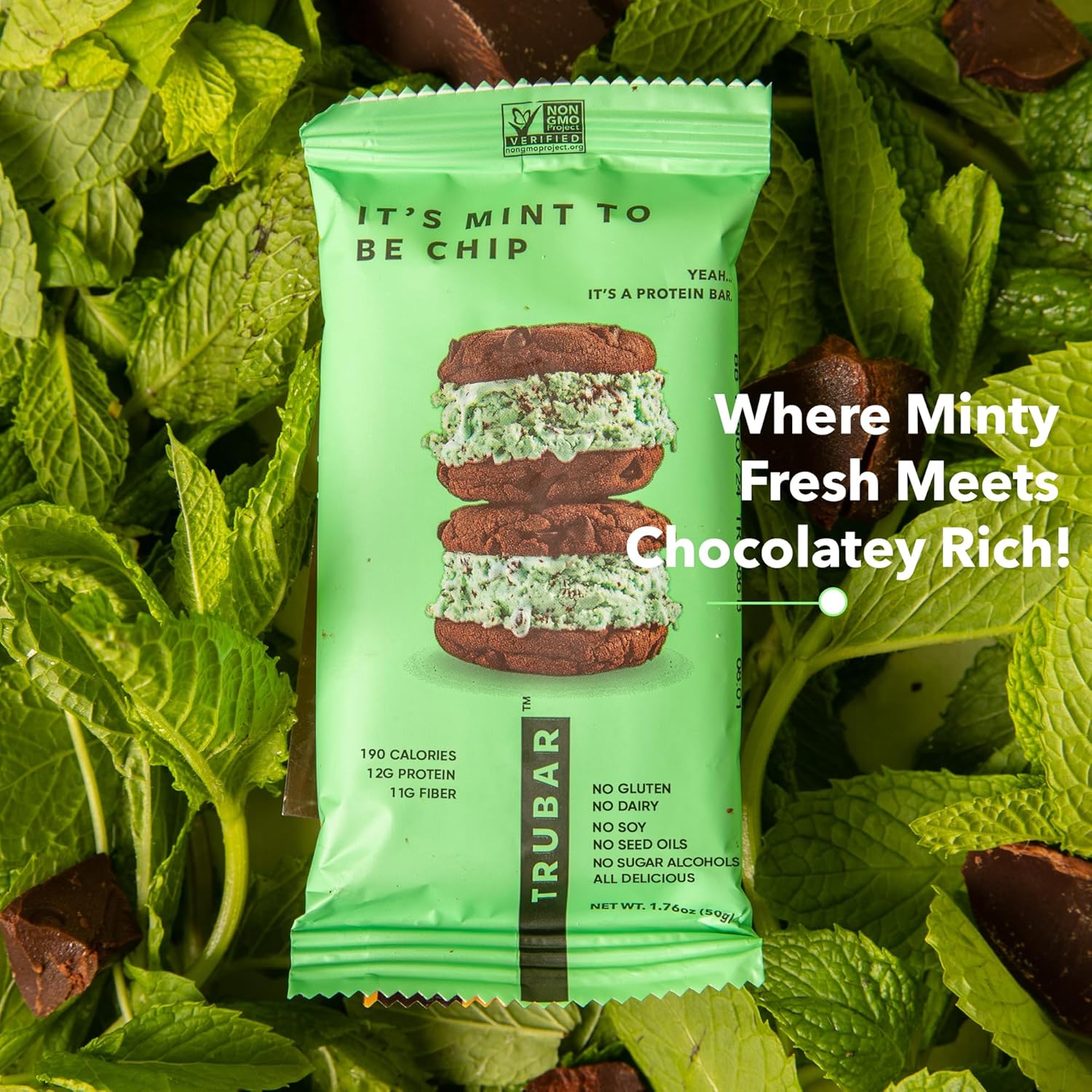 trubar-mint-to-be-chip-vegan-protein-bars---gluten-free-plant-based-high-fiber-dairy-free-low-fat-non-gmo-no-sugar-alcohols---12g-protein-13g-fiber---healthy-snack-bars---12-count-pack-2