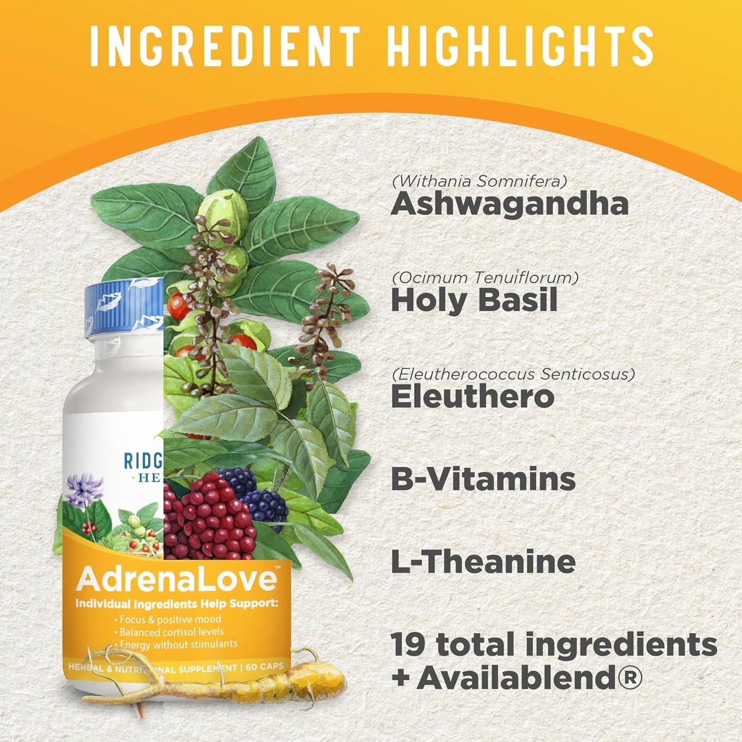 AdrenaLove Adrenal Support Supplement with Adaptogens - 60 Capsules, Stress Relief Formula with Ashwagandha, Ginseng, and B Vitamins - Espot.com.au