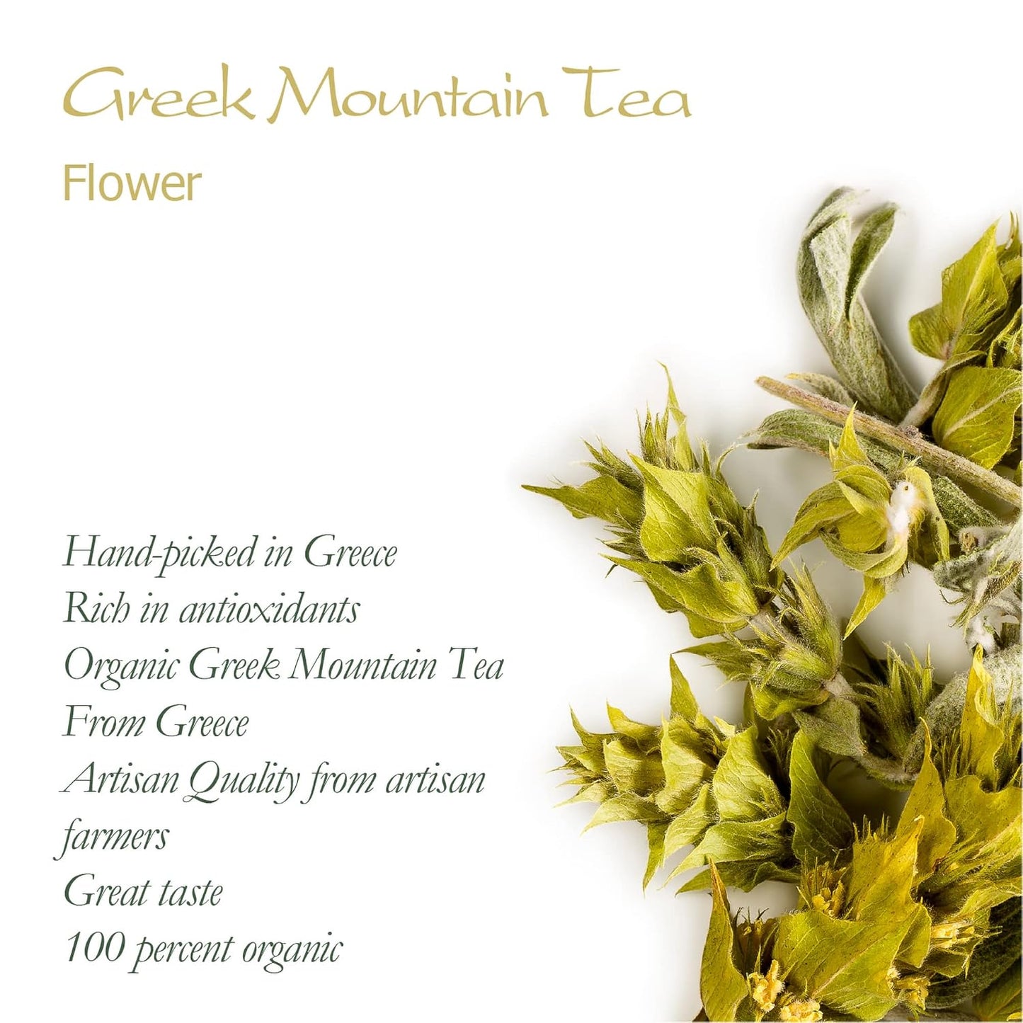 organic-greek-mountain-tea---handpicked-sideritis-scardica-herbal-tea-from-mt-olympus-greece---authentic-shepherds-tea-from-valley-of-tea-5