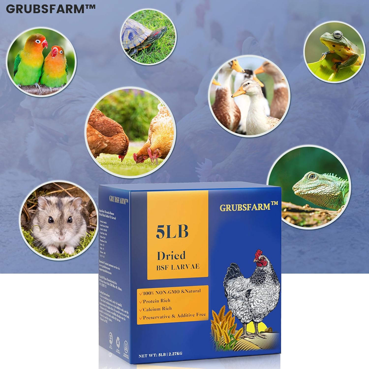 7lb-premium-chicken-treats-with-bsf-larvae---non-gmo-high-calcium---molting-laying-supplement-for-layer-hens-ducks---superior-to-dried-mealworms-7