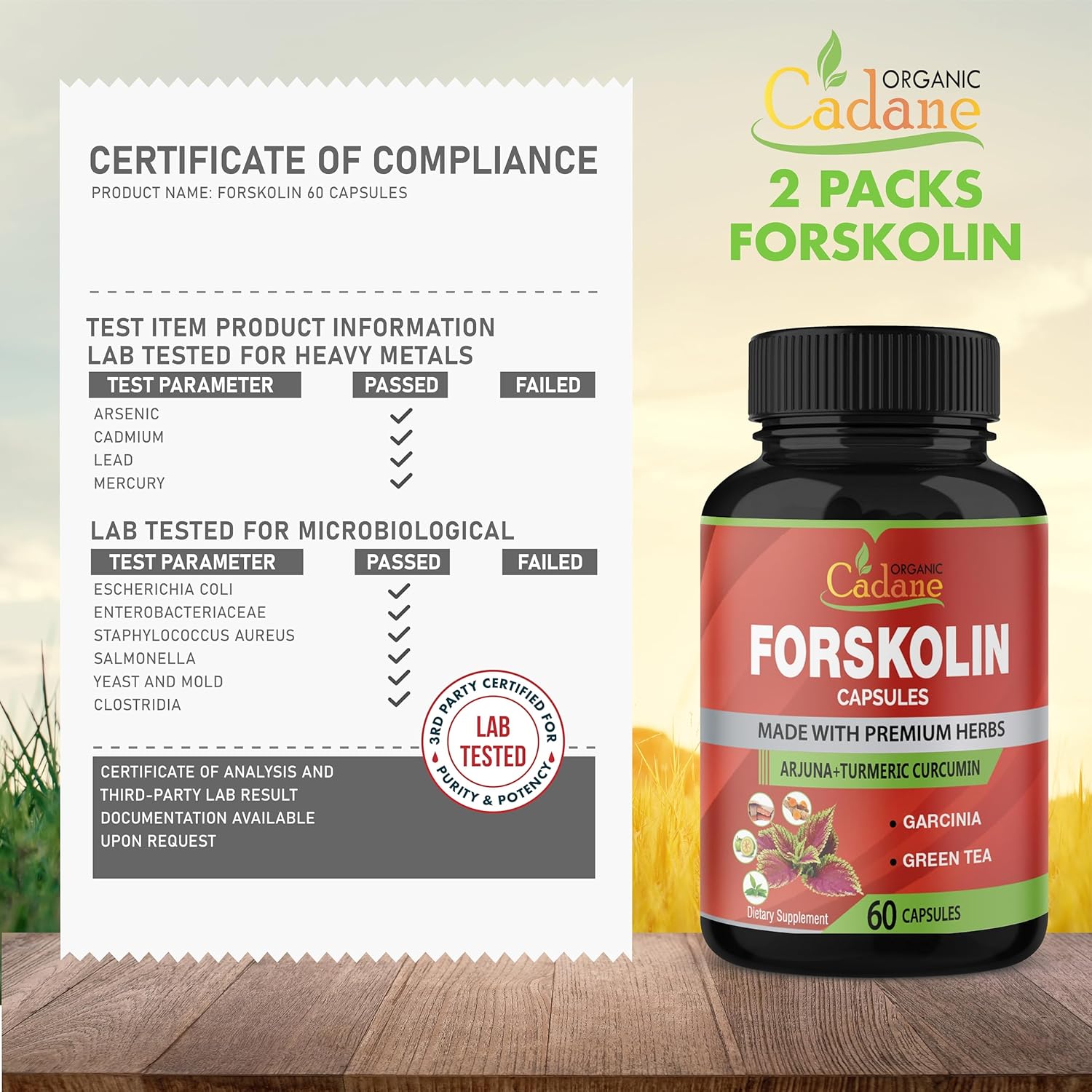 2-pack-organic-forskolin-supplements-capsules-with-turmeric-arjuna-garcinia-cambogia-green-tea---maximum-strength-coleus-forskohlii-extract---boost-energy-immune-system-support-7