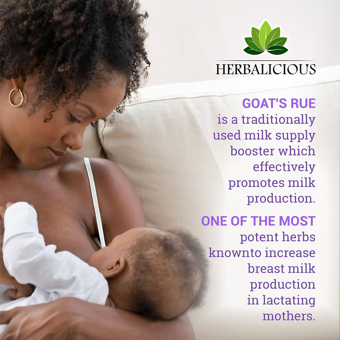 Goat’s Rue Herbal Supplement Capsules 1000mg - Breastfeeding Support - Natural Galega Officinalis - Increase Breastmilk Production - 100 Capsules - Espot.com.au