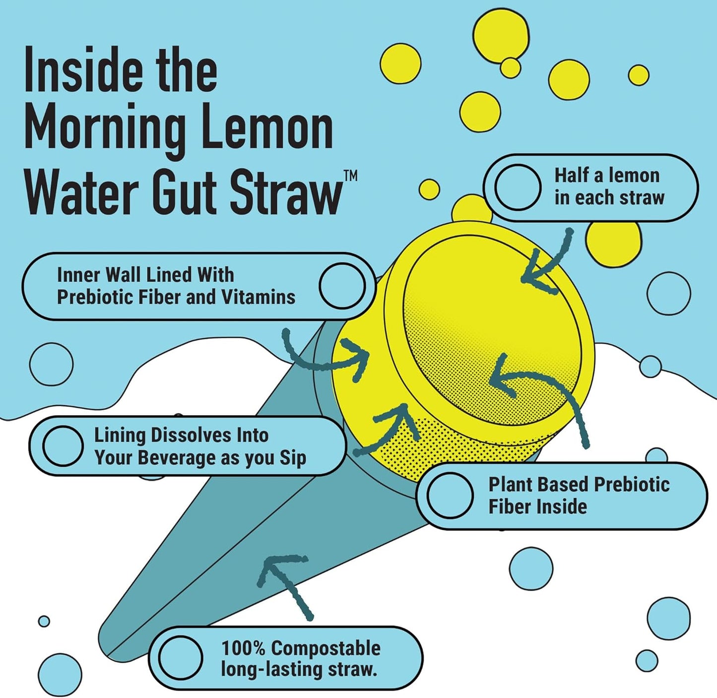 prebiotic-fiber-lemon-water-infused-drinking-straw---gut-health-support-with-real-lemon-inside-each-straw-2