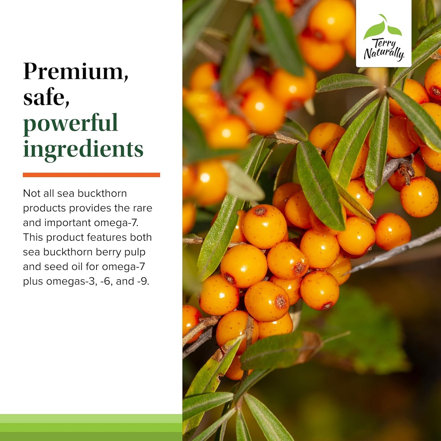 terry-naturally-omega-7-softgels---sea-buckthorn-supplement-for-healthy-skin---non-gmo-gluten-free---60-servings-5