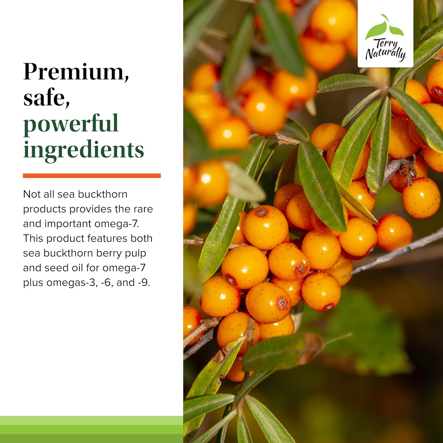 terry-naturally-omega-7-softgels---sea-buckthorn-supplement-for-healthy-skin---non-gmo-gluten-free---60-servings-5