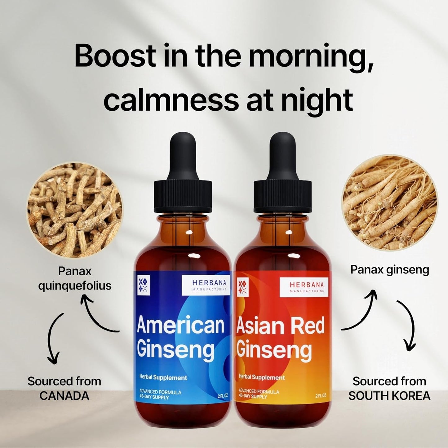 herbana-manufacturing-panax-ginseng-liquid-extract---energy-focus-immune-support-tincture---asian-red-american-ginseng-blend-2-pack-5