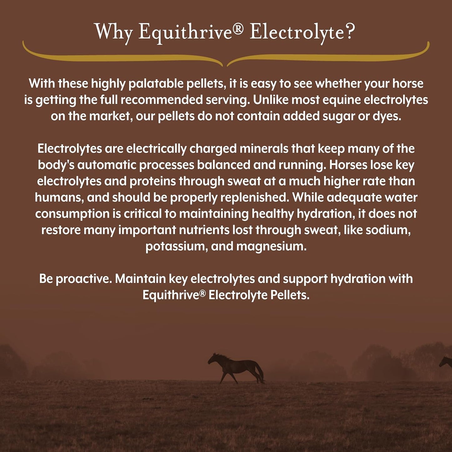 Equithrive Electrolyte Pellets & Mineral Supplement for Horses - 4 lbs, 20 Day Supply - Ideal for Training & Competition - Espot.com.au