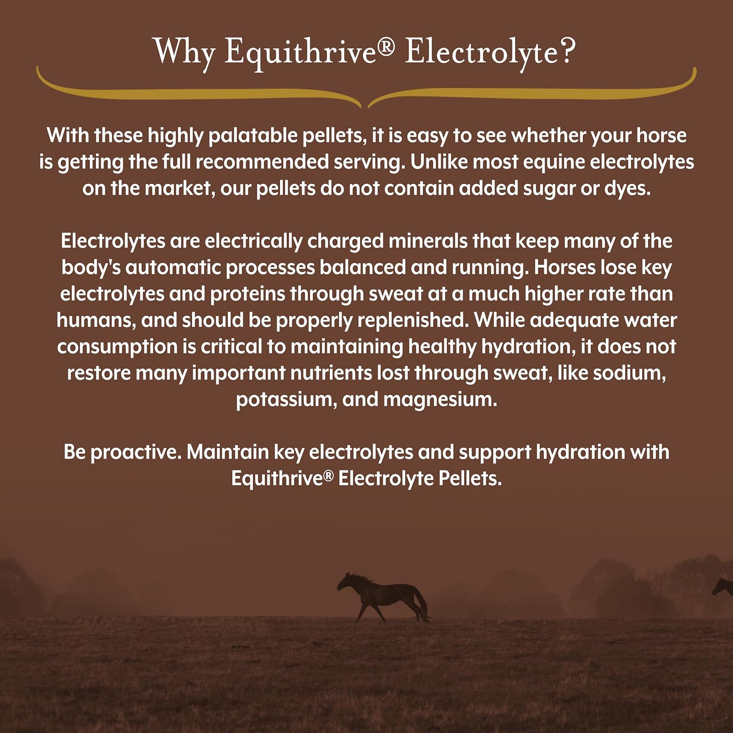 Equithrive Electrolyte Pellets & Mineral Supplement for Horses - 4 lbs, 20 Day Supply - Ideal for Training & Competition - Espot.com.au