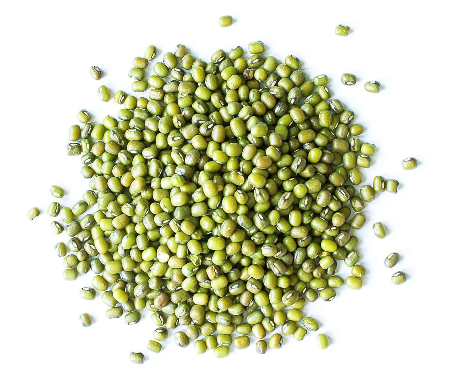 organic-mung-beans-8oz---non-gmo-whole-dried-green-gram---sproutable-kosher-sirtfood---high-fiber-protein-3