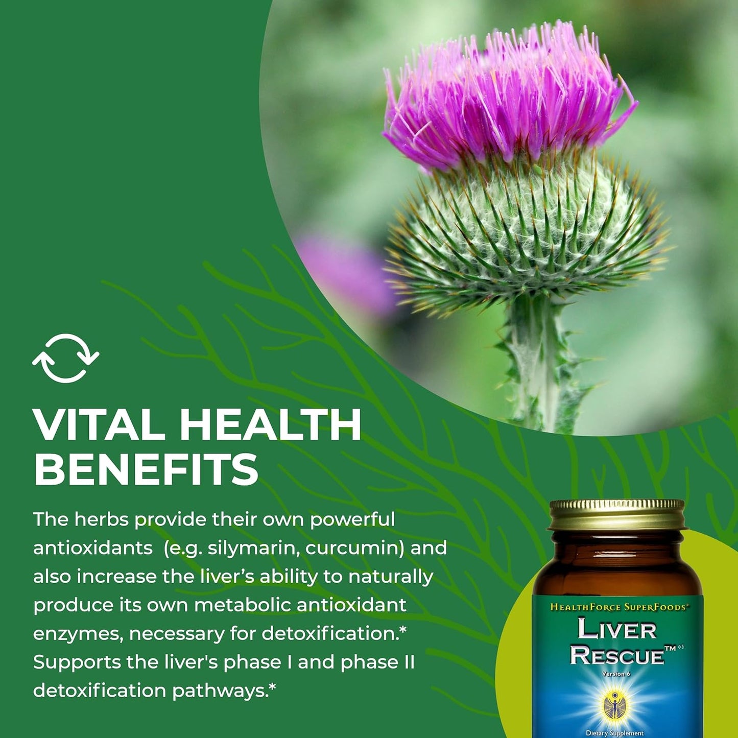 liver-rescue-capsules---natural-liver-cleanse-with-milk-thistle-dandelion-root---gluten-free-vegan---60-count-6