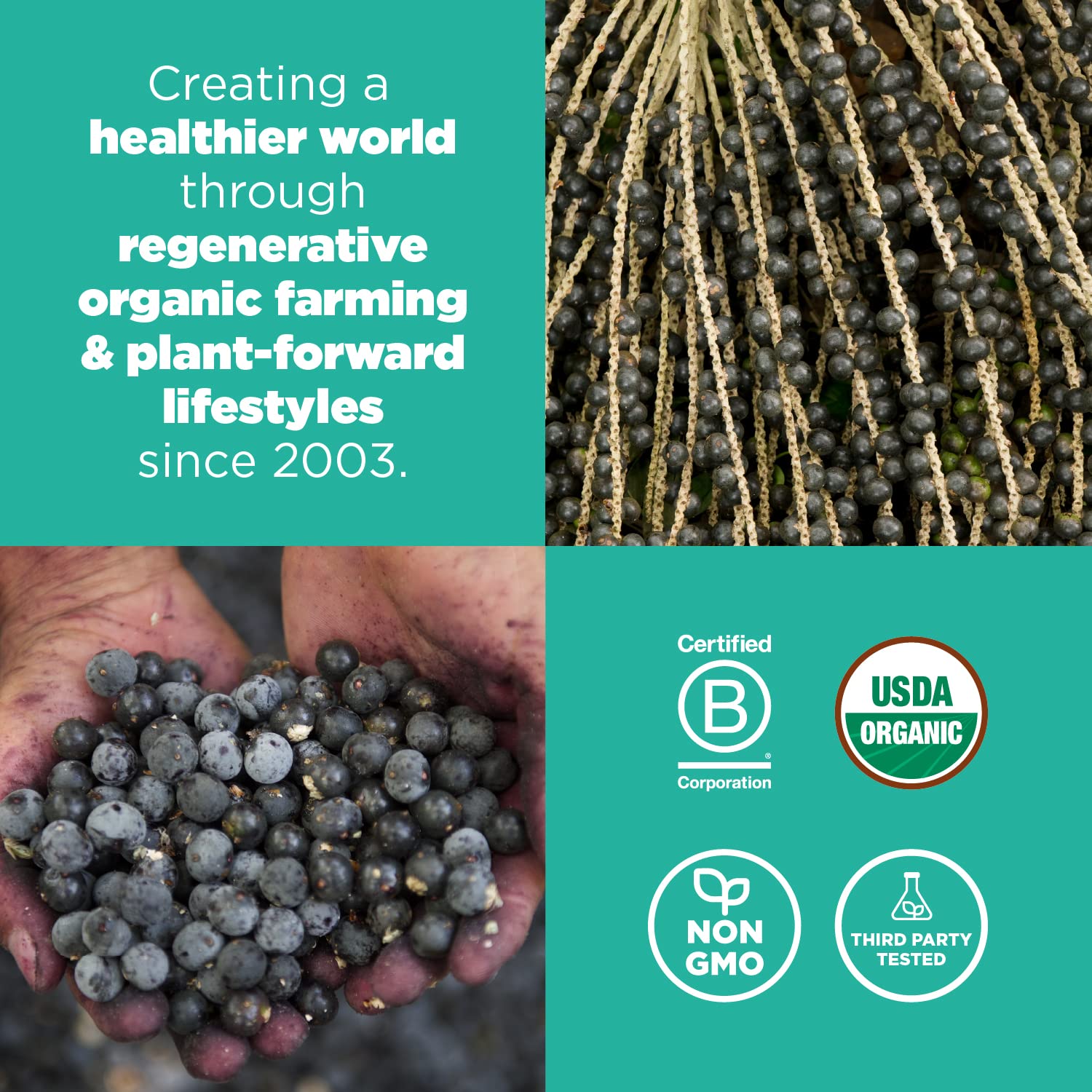 navitas-organics-acai-powder-8-oz-bag---76-servings-organic-non-gmo-freeze-dried-gluten-free-supplement-5