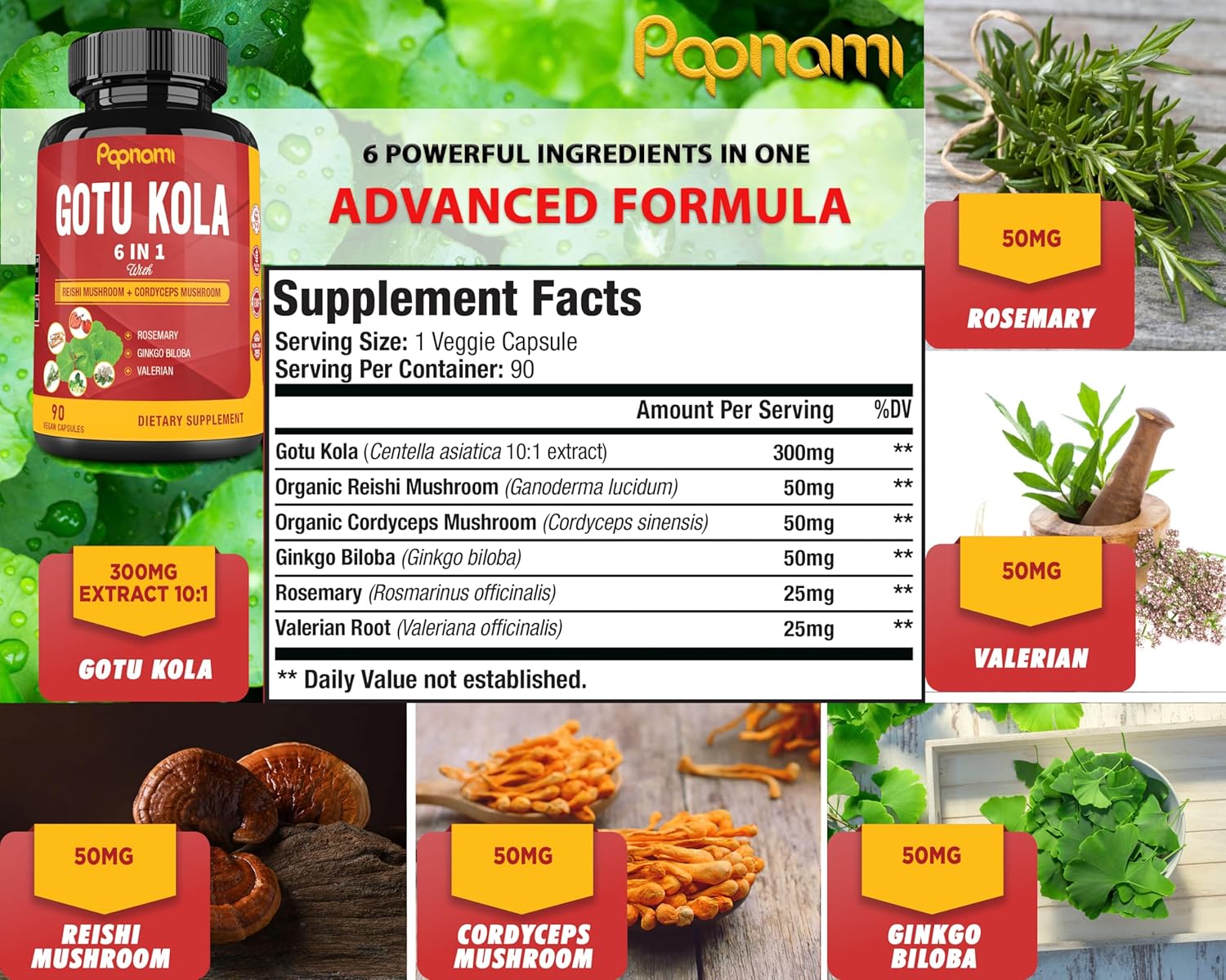 organic-gotu-kola-extract-capsules-with-reishi-cordyceps-rosemary-gingko-biloba-valerian-root---90-count---brain-immunity-skin-heart-support-for-3-months-2