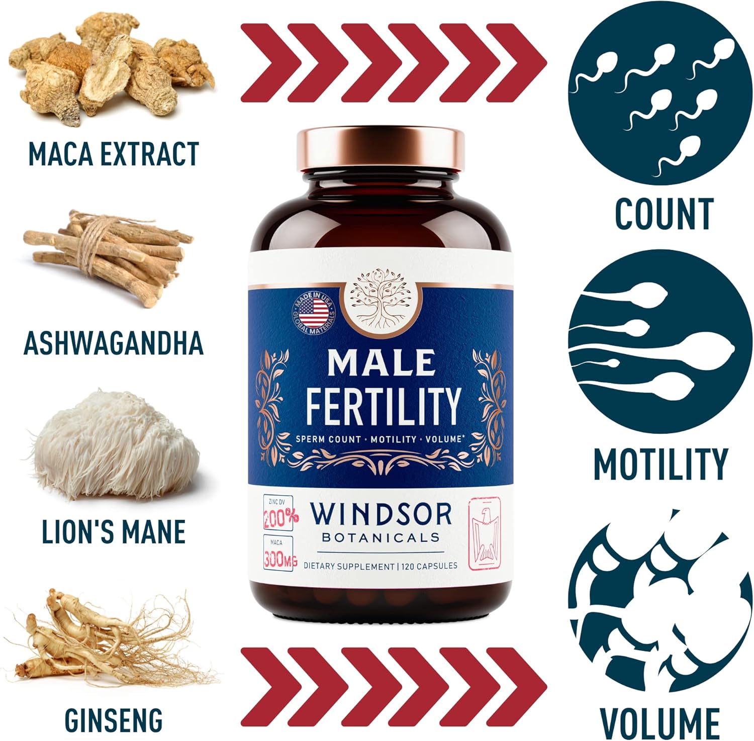 male-fertility-and-fresh-breath-bundle---windsor-botanicals-supplement-for-mens-health-with-oral-probiotics-5