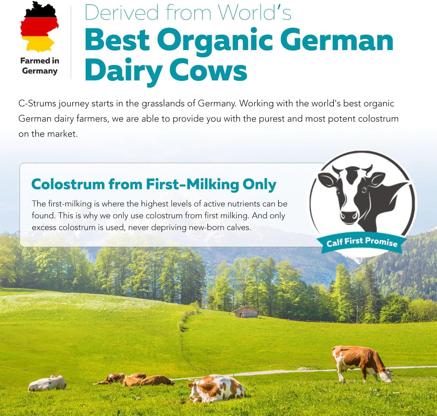max-strength-organic-bovine-colostrum-powder---60-igg-grass-fed-supplement-for-gut-immunity-skin-hair-support---60-servings-5