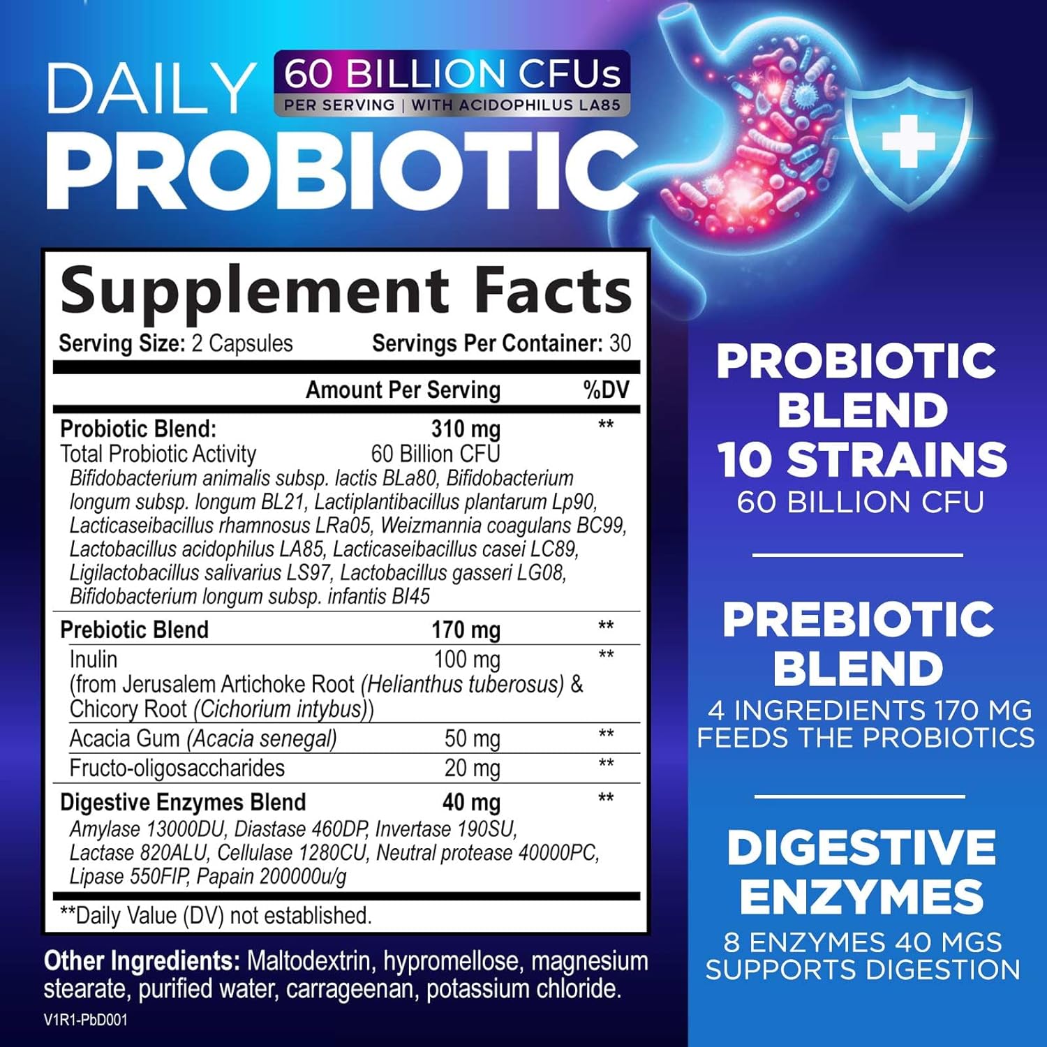 premium-daily-probiotic-supplement-60-billion-cfu---10-strains-4-prebiotics-supports-gut-health-digestive-wellness-men-women-60-capsules-2