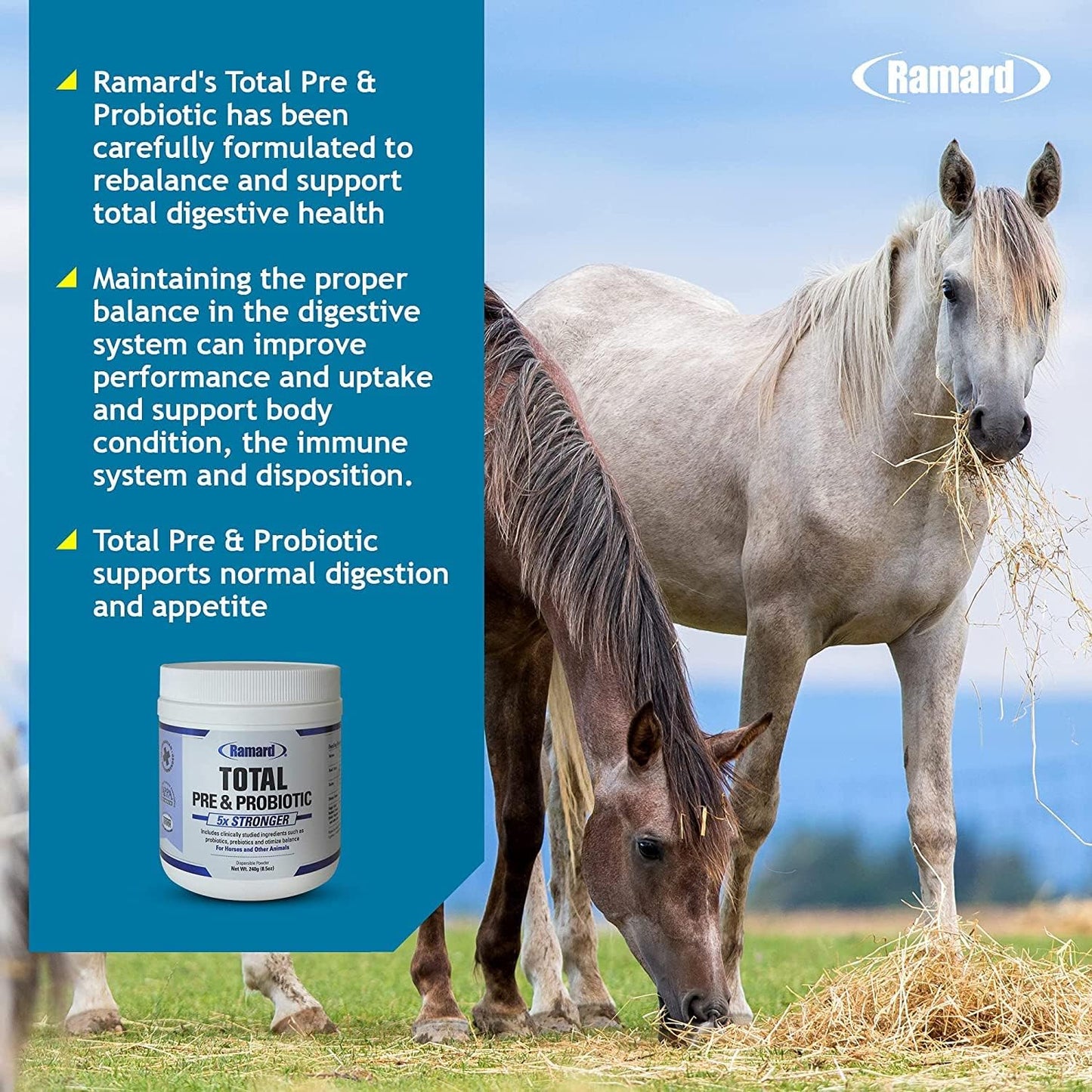 equine-prebiotic-probiotic-formula-for-optimal-gut-health---natural-digestive-supplement-for-horses-foal-support---livestock-probiotics---85-oz-jar-2