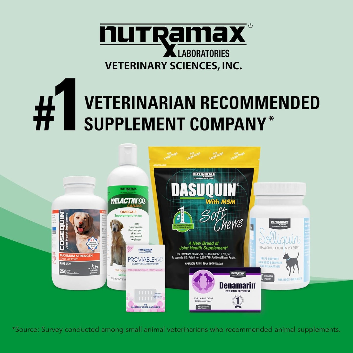nutramax-welactin-omega-3-fish-oil-liquid-supplement-for-dogs---skin-and-coat-health---16-ounce-bottle-7