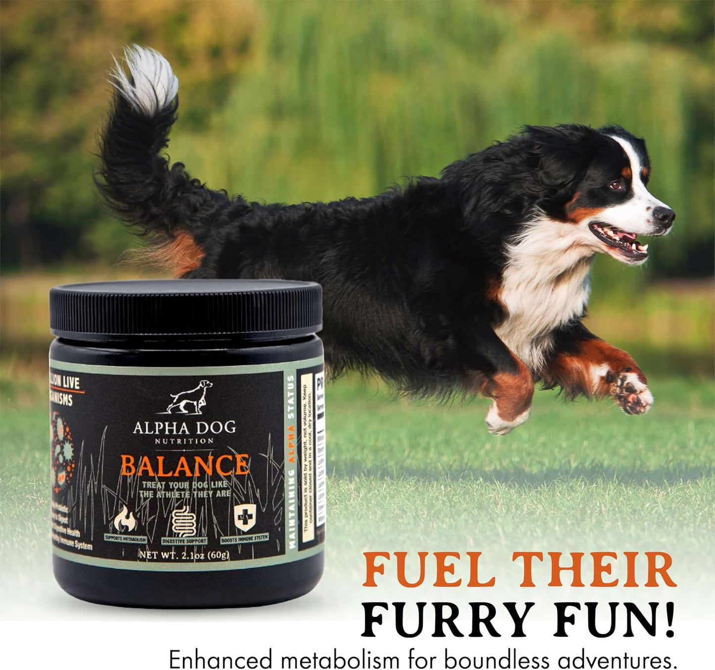 alpha-dog-nutrition-balance-probiotic-blend-for-canines---gut-health-supplement-with-probiotics-and-prebiotics-6