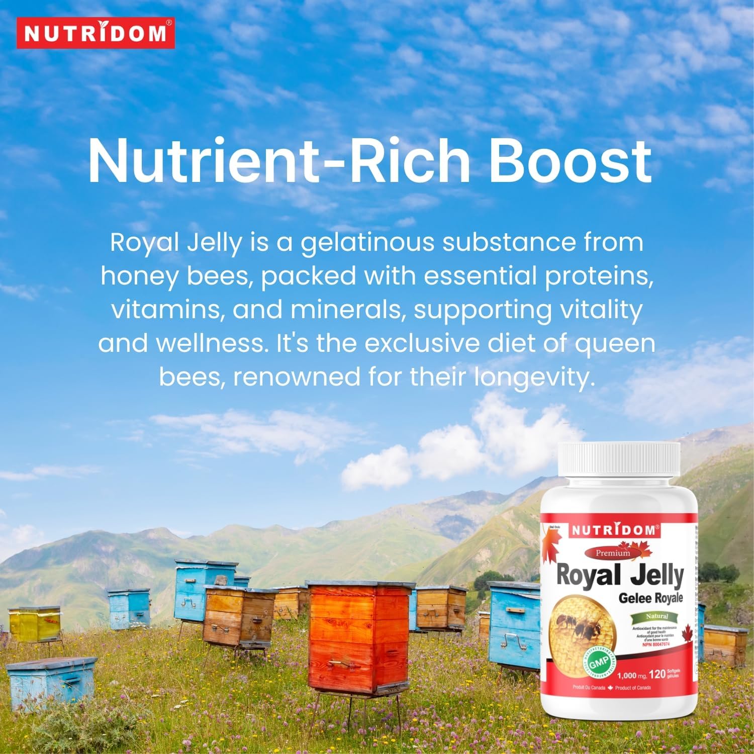 nutridom-royal-jelly-softgels---1000mg-120-count---one-bottle-3