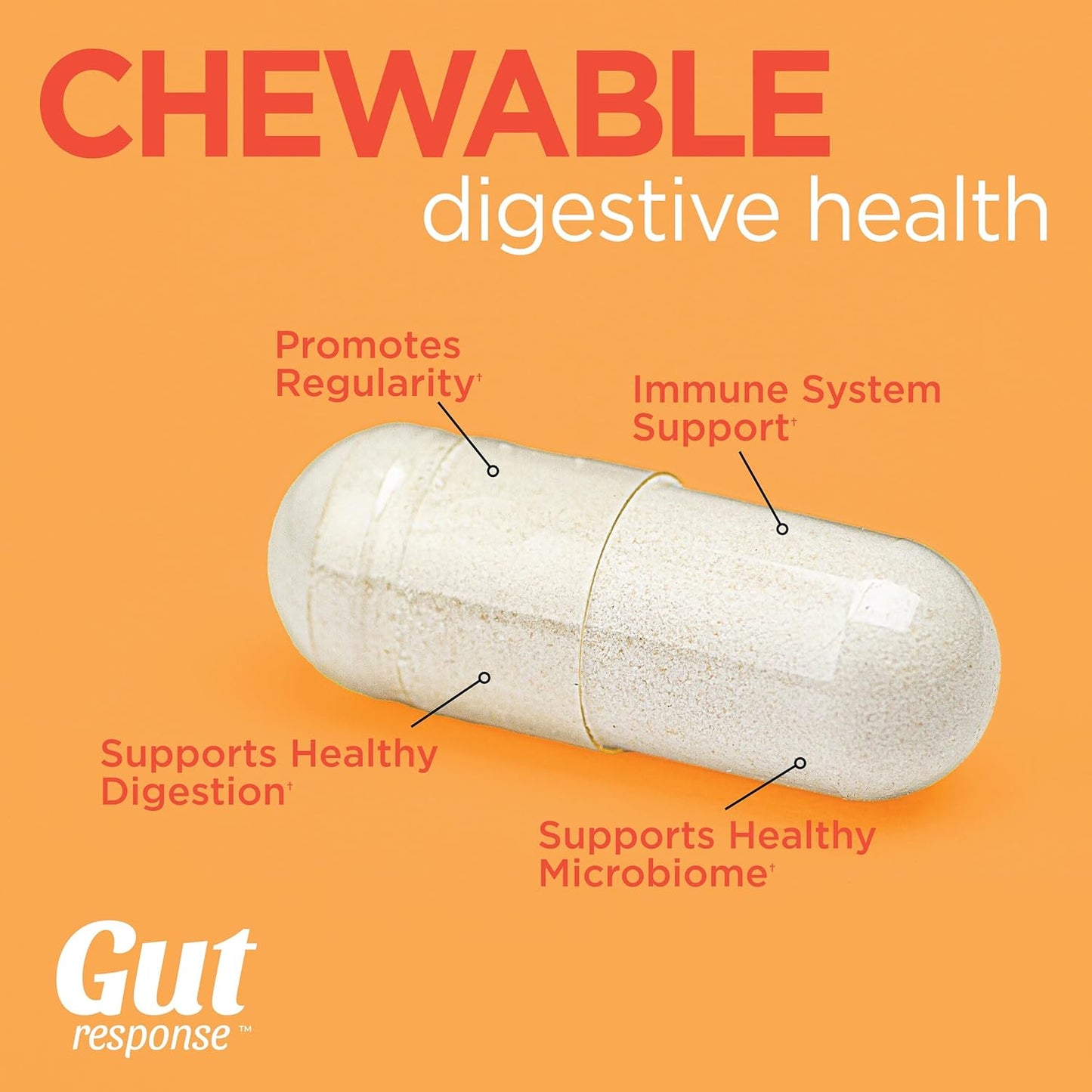 chewable-probiotic-for-digestive-health-immune-support---men-women-non-gmo-gluten-soy-free-5-billion-cfu-30-tablets---orange-flavor-3