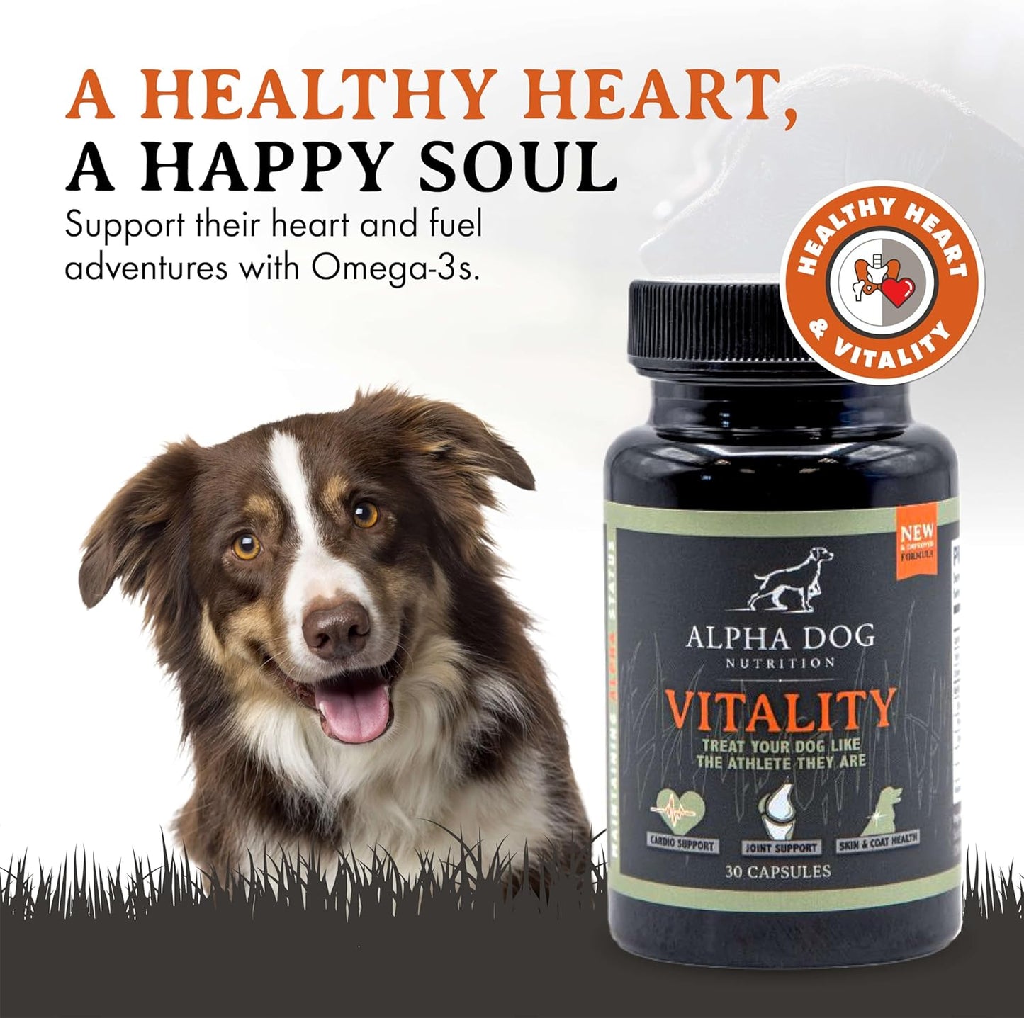 alpha-dog-nutritions-vitality-krill-oil-for-dogs-reduces-allergies-itchiness-shedding-promotes-healthy-skin-coat-2