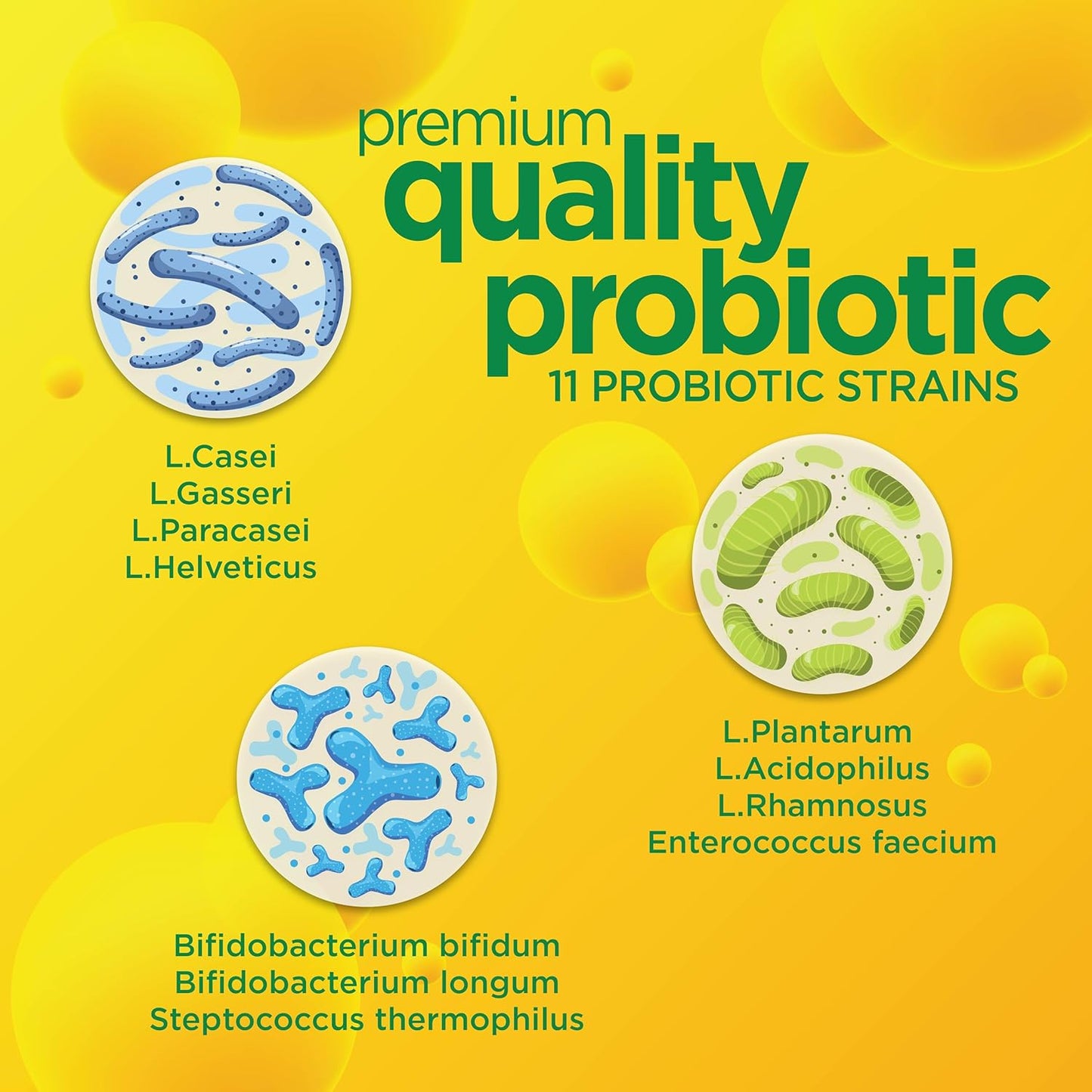 daily-probiotic-for-men-women---supports-digestive-health-boosts-immune-system-reduces-bloating---non-gmo-gluten-soy-free---10-billion-cfu---30-capsules-4