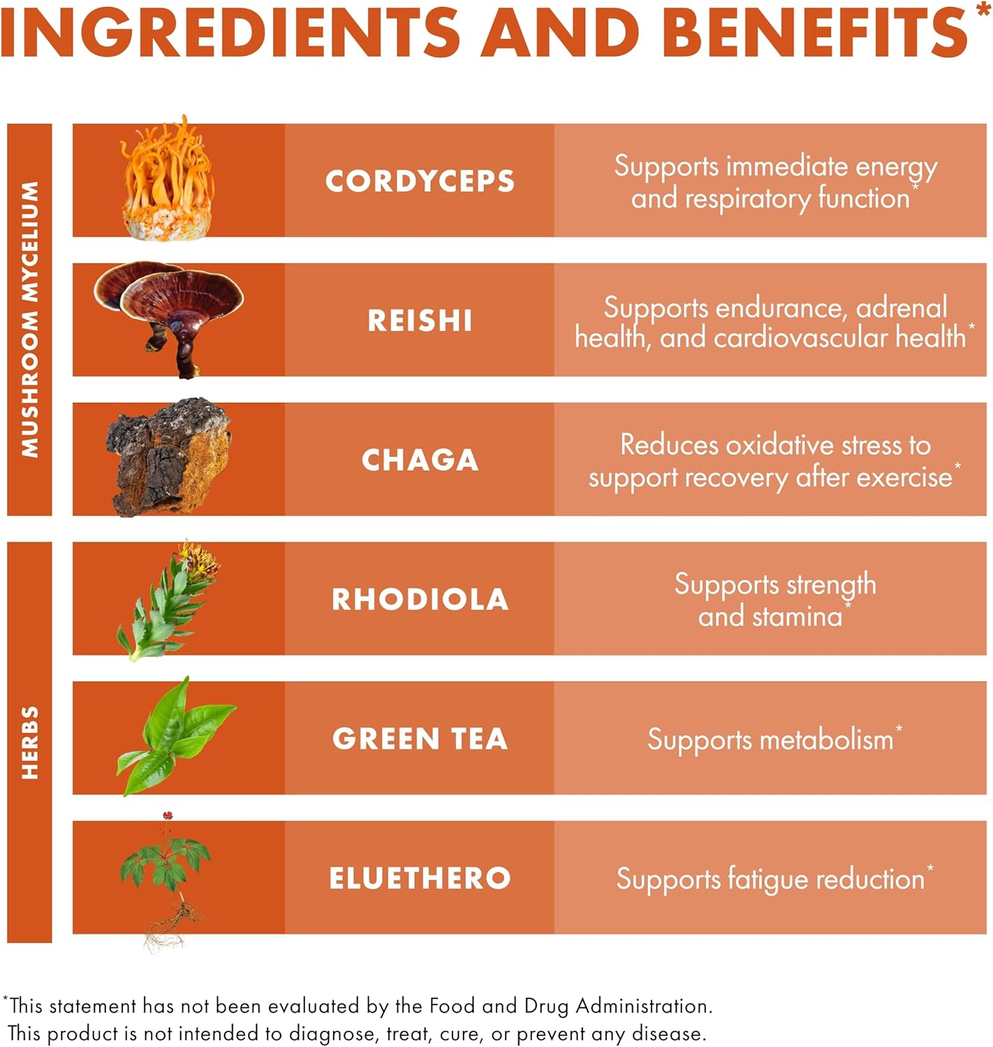 mycobotanicals-energy-capsules---herbal-green-tea-supplement-for-energy-respiratory-support---with-cordyceps-reishi-chaga---60-capsules-4