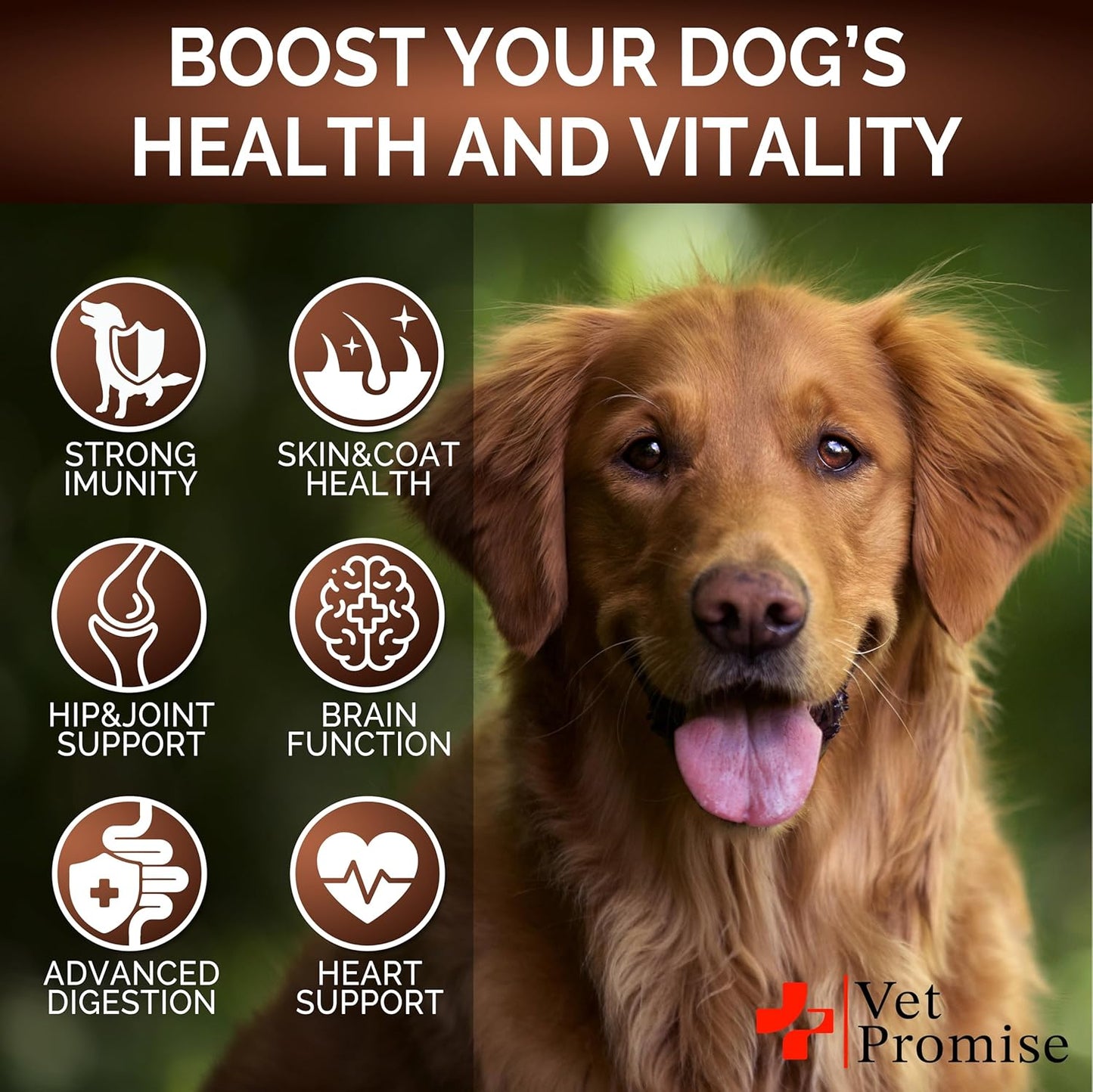 turkey-tail-lions-mane-reishi-mushroom-supplement-for-dogs---170-chews---immunity-joint-health-support---made-in-usa-4