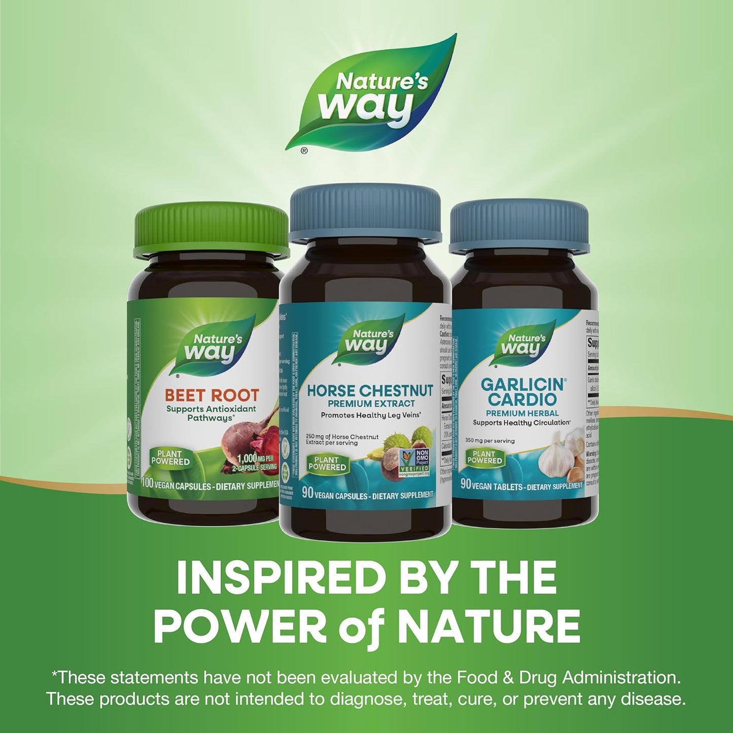 Premium Horse Chestnut Extract Capsules for Healthy Leg Veins - 500mg Total, Vegan, 180 Capsules - Pack of 2, Packaging May Vary - Espot.com.au