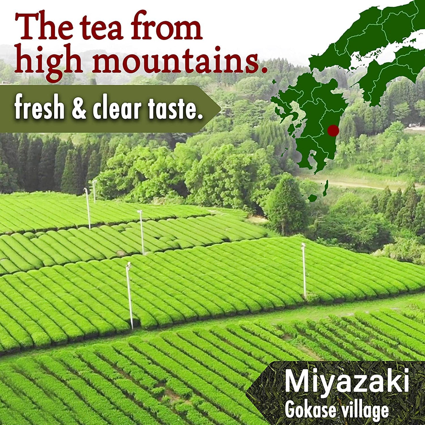 yamasan-kyoto-uji-japanese-organic-black-tea-loose-leaf---100-made-in-japan---100g-tea-leaves-by-yamasan-4