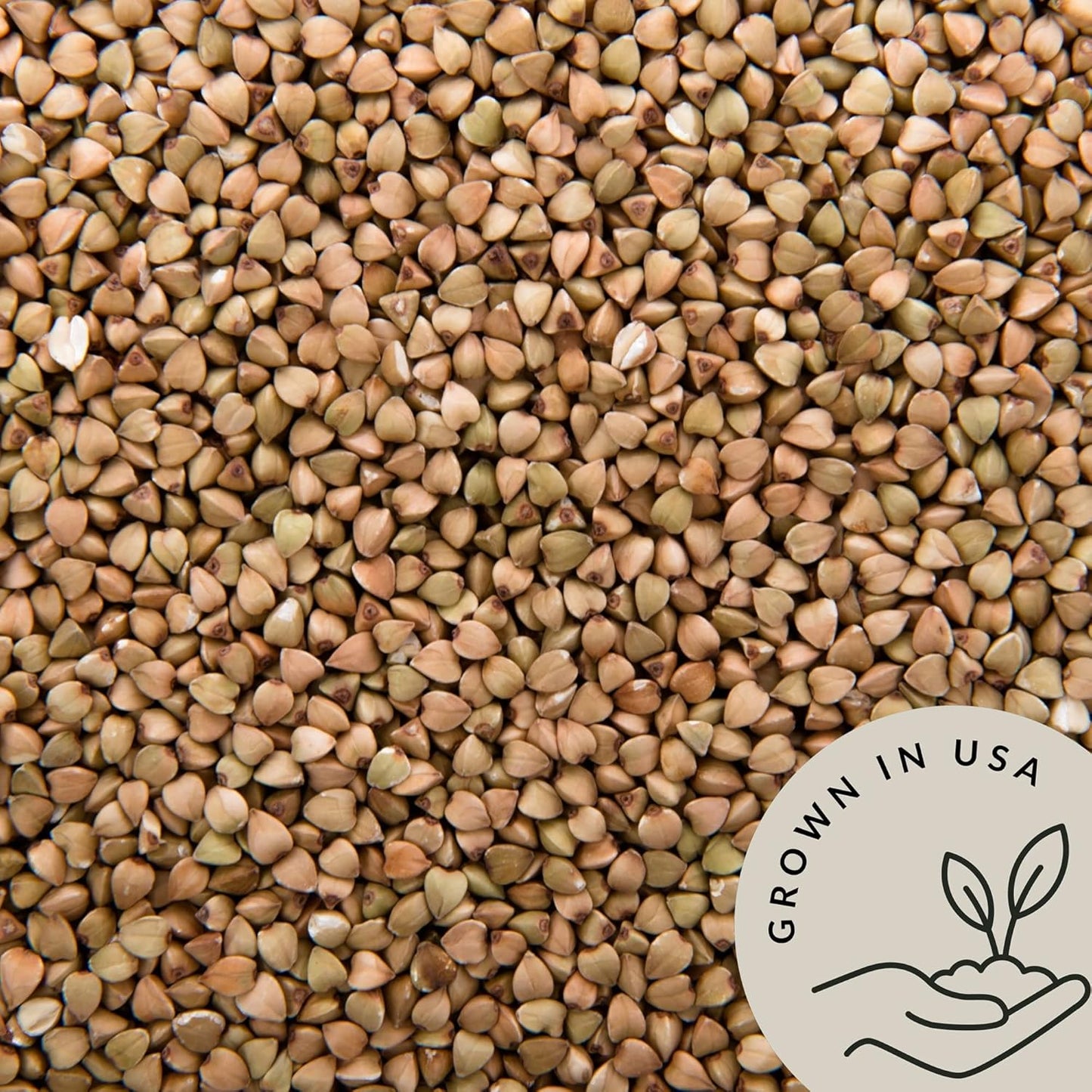 be-still-farms-organic-buckwheat-groats-bulk---48lb-whole-raw-hulled-buckwheat---high-protein-usa-grown-vegan-non-gmo-gluten-free---perfect-for-cereal-salad-side-dish-4