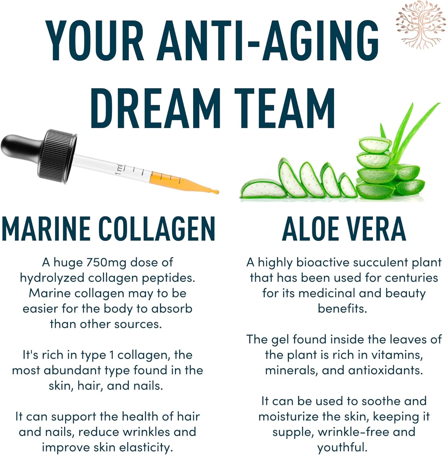 windsor-botanicals-liquid-collagen-with-aloe-and-dental-probiotics---oral-and-beauty-bundle-for-teeth-and-gums-5
