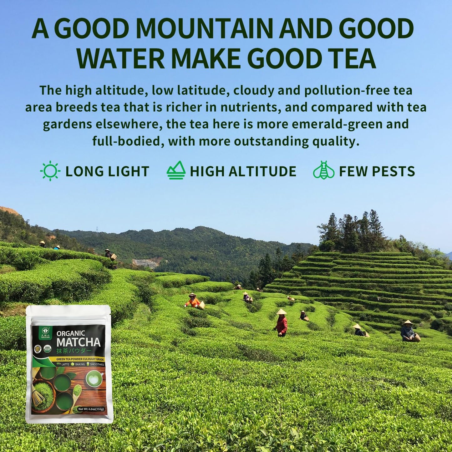 organic-matcha-green-tea-powder-40oz---culinary-grade-for-lattes-cooking-baking---tian-hu-shan-7