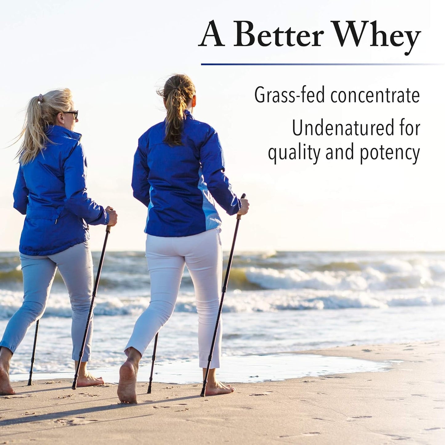 natural-factors-whey-factors-french-vanilla-protein-powder-12-pounds---pack-of-6-3