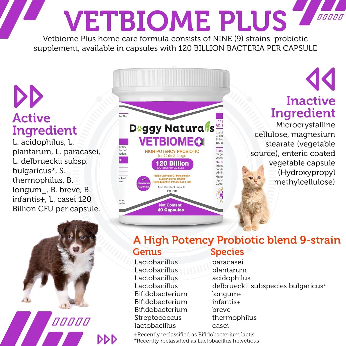 veterinary-formula-vetbiome-probiotics-for-pets---40-capsules-made-in-usa-no-refrigeration-needed-2
