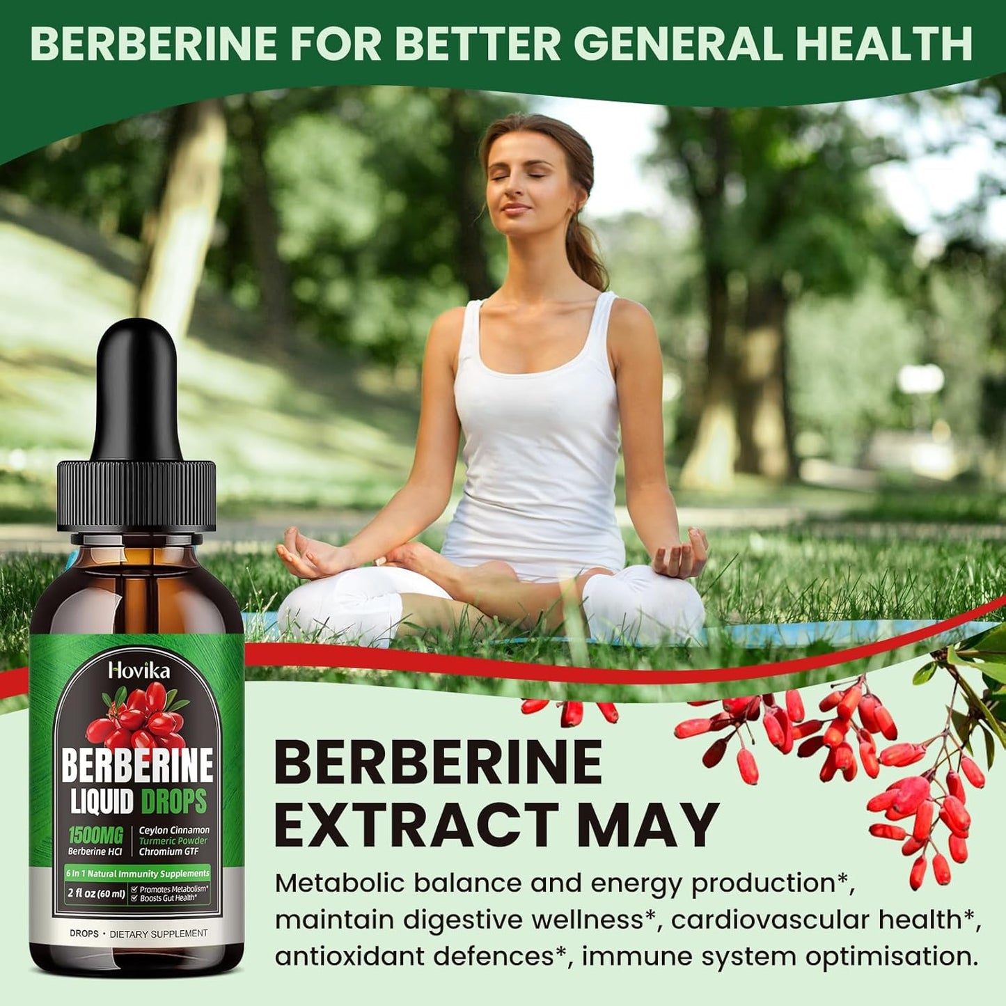 1500mg-berberine-hcl-liquid-drops-with-ceylon-cinnamon-chromium-turmeric-niacinamide---supports-metabolism-immune-system-gut-health---2-fl-oz-vegan-supplement-2