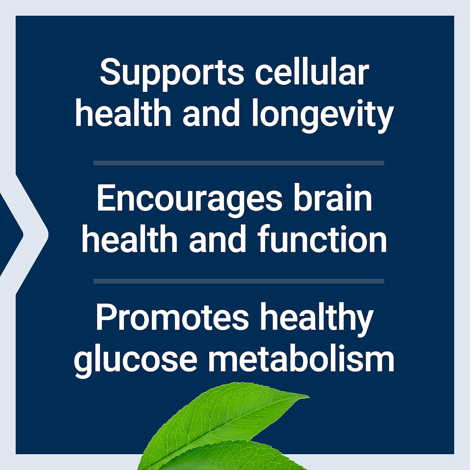 bio-fisetin-capsules-bundle-with-taurine-for-cellular-and-heart-health---30-capsules-90-capsules-4