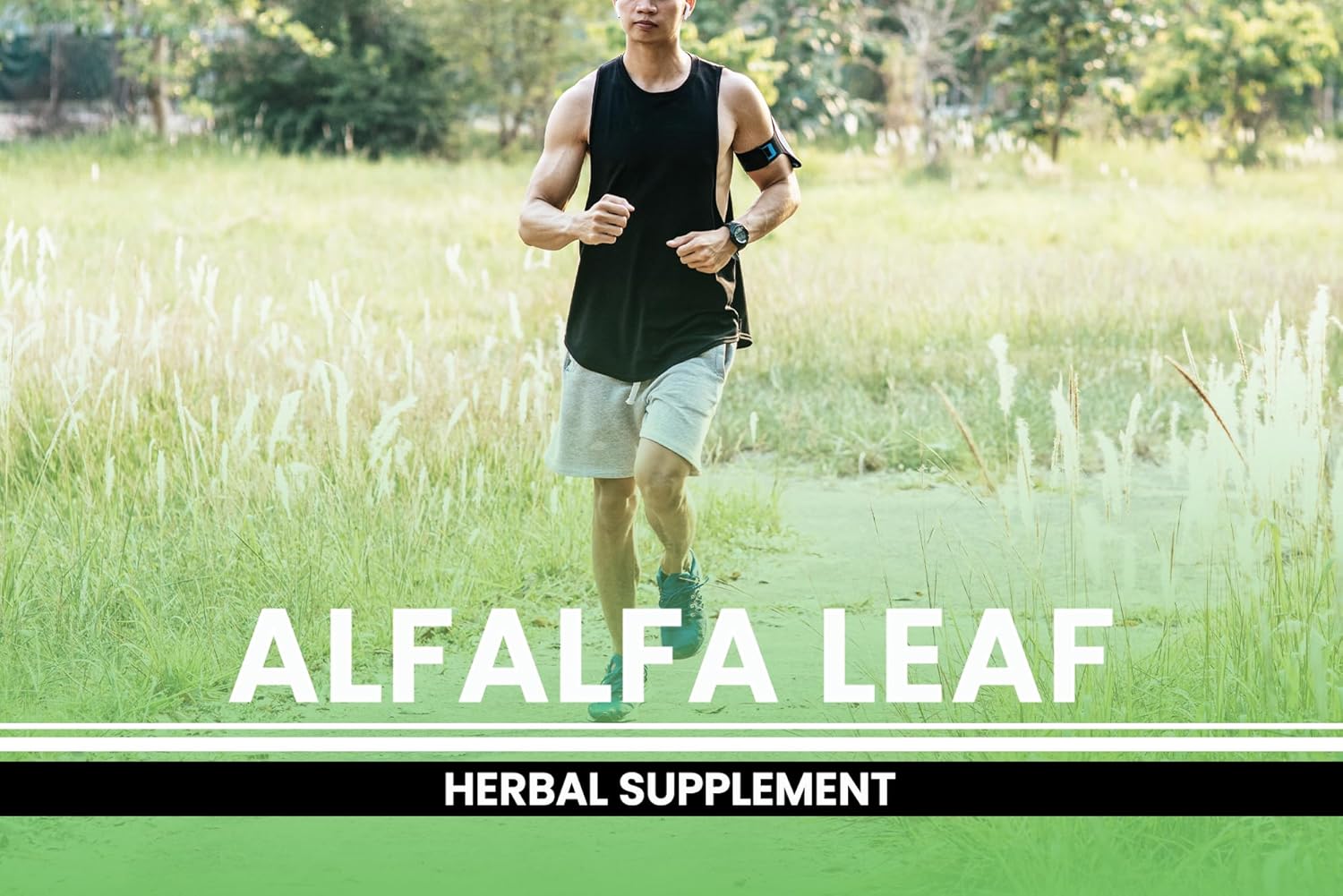 alfalfa-leaf-capsules---730-count-pure-ingredients-no-magnesium-or-rice-fillers-lab-verified-5
